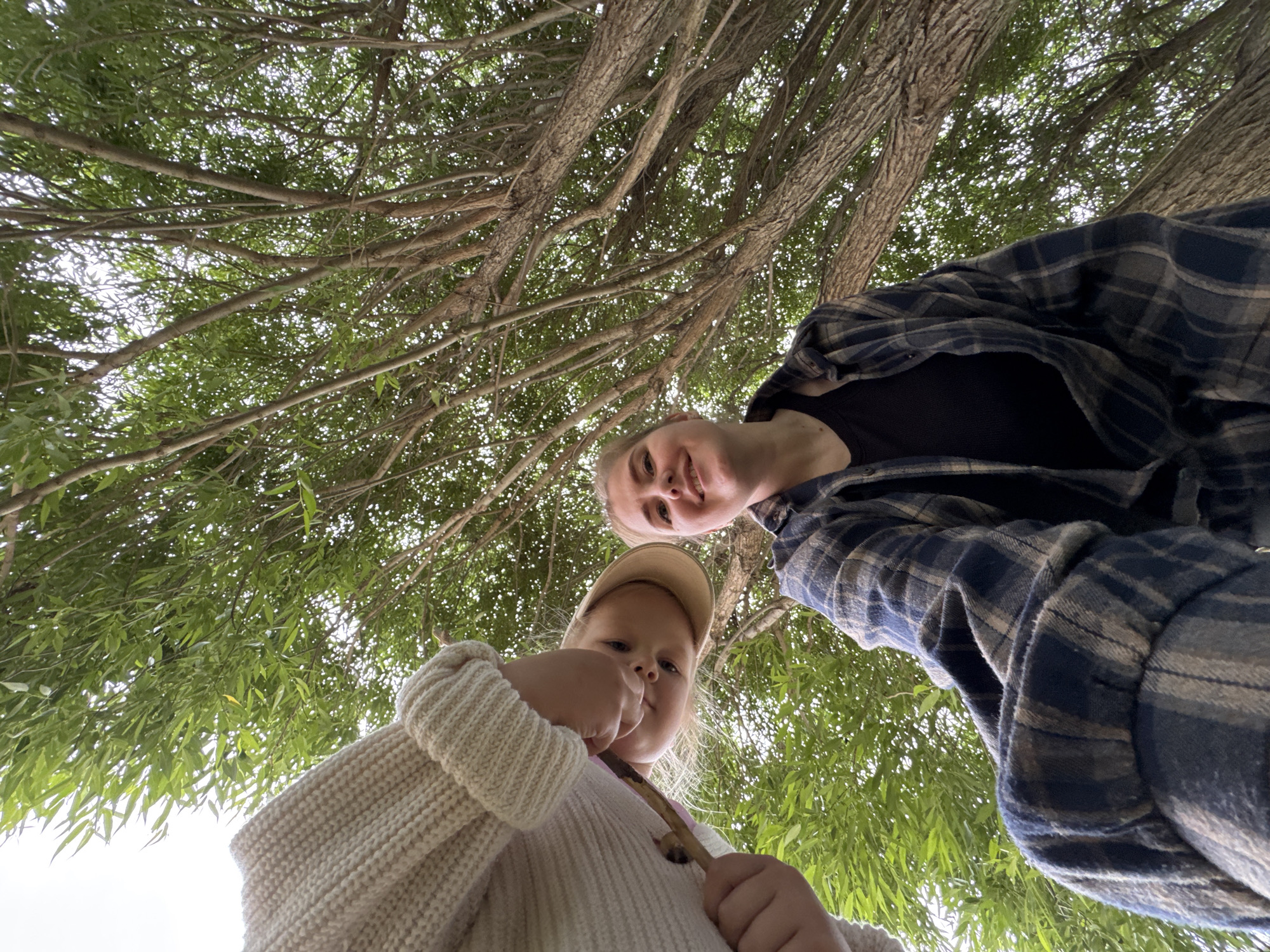 Two people, an adult and a child, are looking up at the camera from beneath the branches of a large tree. The scene is outdoors, with the dappled sunlight filtering through the green leaves of the tree creating a natural canopy overhead. The perspective is from below, emphasizing the height of the tree and the upward gaze of the subjects.
The adult, positioned higher in the frame, is wearing a blue and grey plaid shirt over a dark top. They are smiling at the camera. The child, in the foreground, is wearing a light-colored knit sweater and a beige baseball cap. They are holding a small stick or twig and appear to be looking at it.
The overall mood of the image is casual and joyful, suggesting a pleasant outdoor activity. The time of day appears to be daytime, likely late morning or afternoon, given the bright sunlight. There are no visible text elements in the image. The natural setting under the tree suggests a park, forest, or backyard in a rural or suburban area, consistent with the provided location context of Горный, Russia.