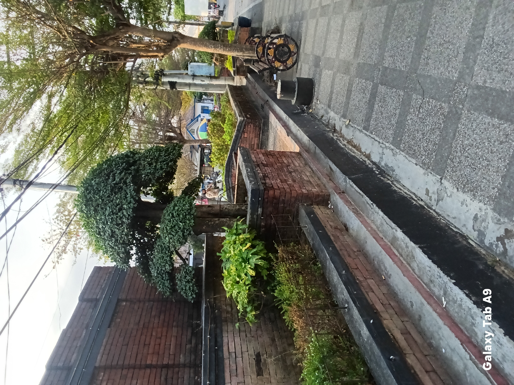 A medium shot captures a street scene in Kelutan, Indonesia, with a focus on a landscaped area adjacent to a brick wall and a paved walkway. The foreground displays a tiled walkway with square patterns, bordered by a low, concrete channel that transitions into a planter box. This planter box is constructed with red brick and contains lush green plants, including a prominent, topiaried tree with a dense, rounded canopy. Beside the planter, a decorative metal bench with intricate circular designs on its backrest sits on the walkway. Further down the walkway, more trees and utility poles are visible. In the background, a brick wall, possibly part of a building or enclosure, runs along the left side of the image. Beyond the landscaped area and walkway, there are glimpses of buildings, other trees, and people on motorcycles. The sky above is overcast.