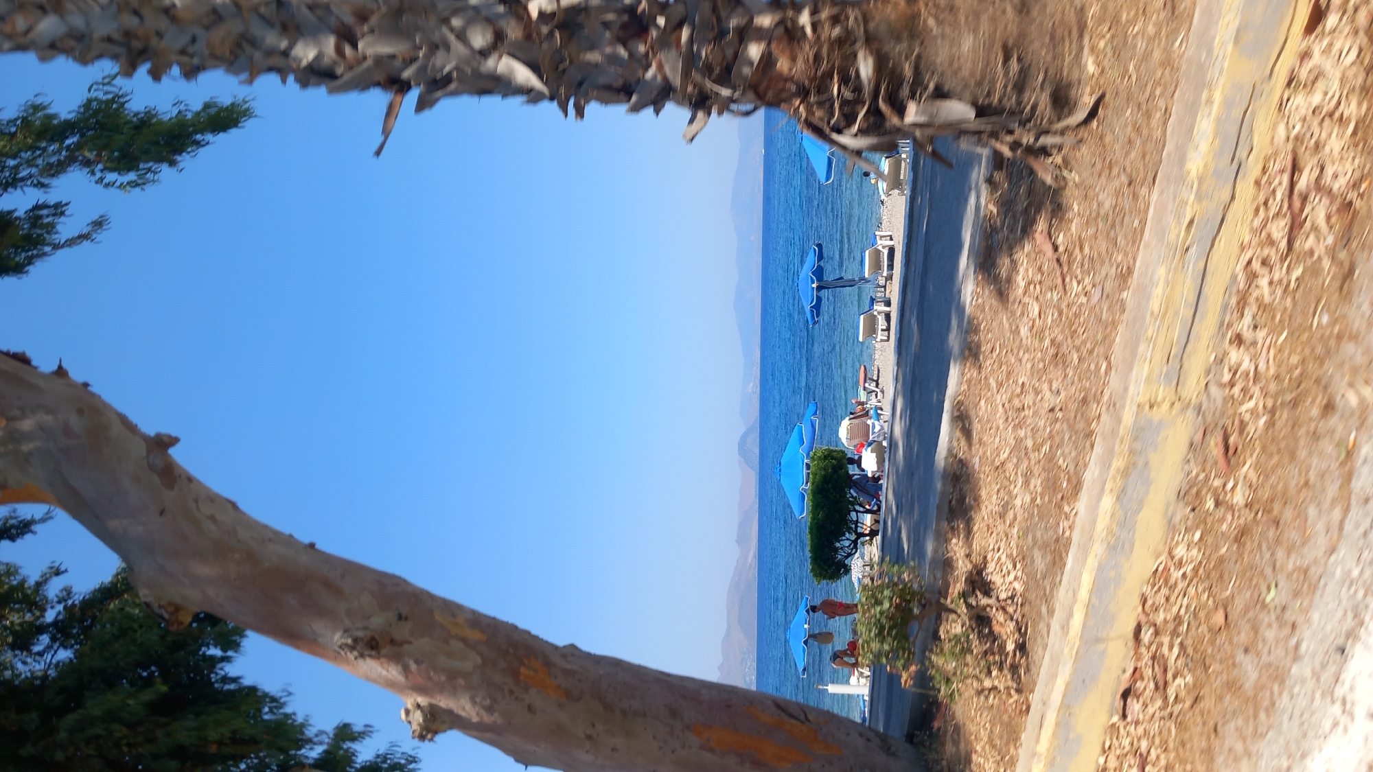 The image shows a beach scene on a clear, sunny day. In the foreground, there are two trees, one on the left and one on the right, framing the view of the beach and the sea. The tree on the left has a rough, textured bark and leafy branches extending upwards. The tree on the right, a palm tree, has a fibrous, textured trunk and some dry fronds visible.
Beyond the trees, a paved area is visible, with fallen leaves scattered on the ground. This leads to a sandy beach lined with blue umbrellas and lounge chairs. Several people are present on the beach, some sitting on the chairs, others standing or walking. A person in an orange top and dark bottoms is standing near some of the lounge chairs. The sea is a vibrant blue, with a clear horizon meeting a bright blue sky. In the distance, mountains are visible on the other side of the water. The overall impression is a peaceful beach resort setting.