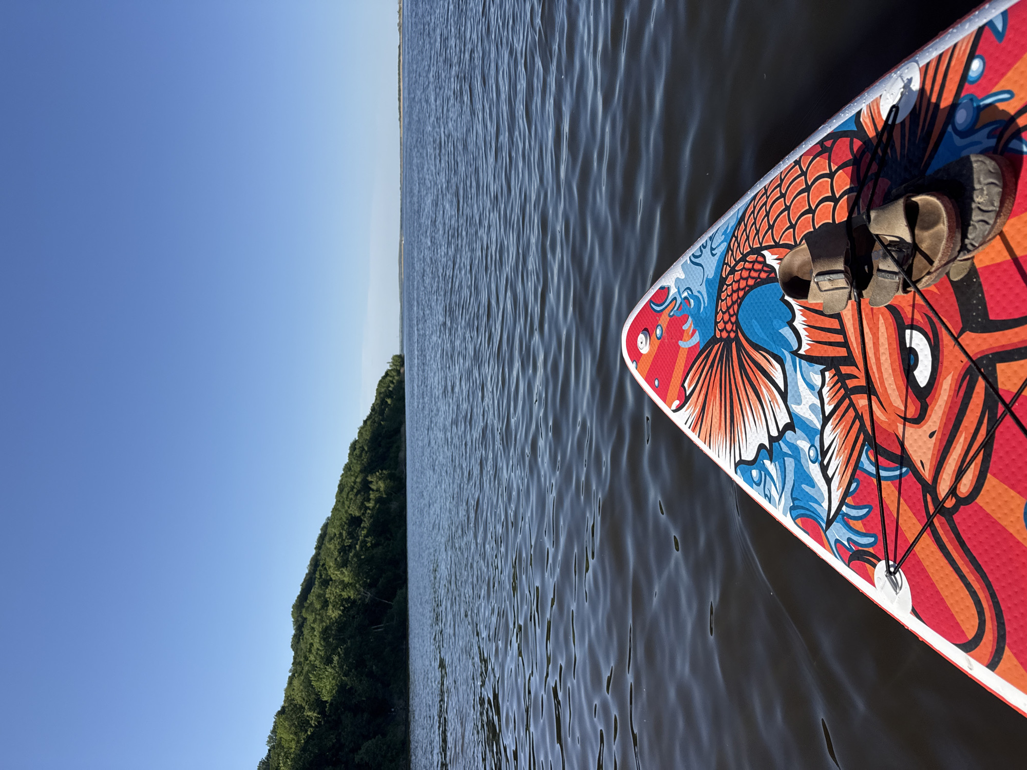 The image depicts a view from a paddleboard on the water, likely a lake or river, with a wooded shoreline visible in the distance. The sky is clear and blue. A pair of sandals rests on the front of the paddleboard, which is decorated with a colorful koi fish design. The water is slightly rippled. The image suggests a peaceful, outdoor recreational activity. There is no information in the image that implies that the location is in the city of Ust'-Kurdium, Russia.