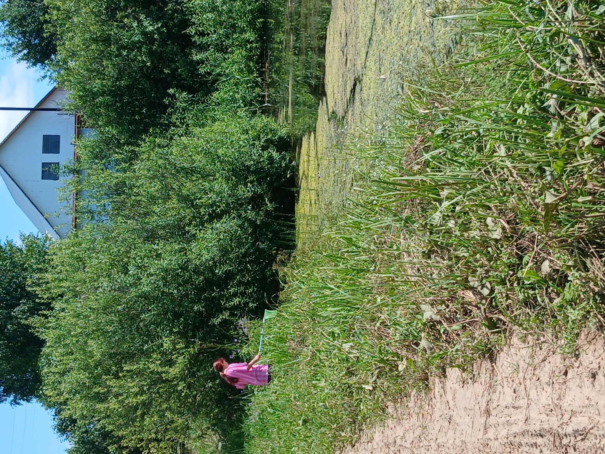 A young girl in a pink t-shirt and dark pants stands near the edge of a body of water, holding a fishing net. She is positioned on a grassy bank next to a dirt path, with dense green foliage and trees behind her. In the background, a white house with dark windows is visible, partially obscured by the trees. The water in front of her is covered with green algae. The scene appears to be a rural or semi-rural environment, possibly in the vicinity of Большая Уса, Russia, given the description of the location. The lighting suggests it is daytime.