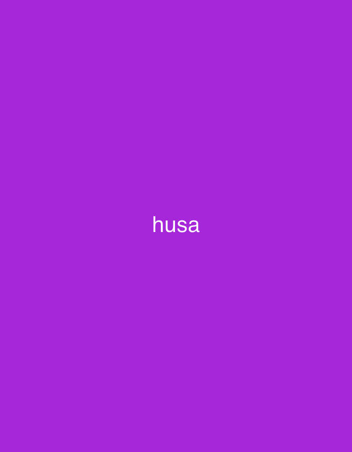 The image features a solid, uniform purple background. Centered on this monochromatic field is the word "husa" rendered in white, lowercase, sans-serif text. No other subjects, objects, people, actions, interactions, or environmental details are discernible within the image, and there is no visual information to indicate a specific geographic location.