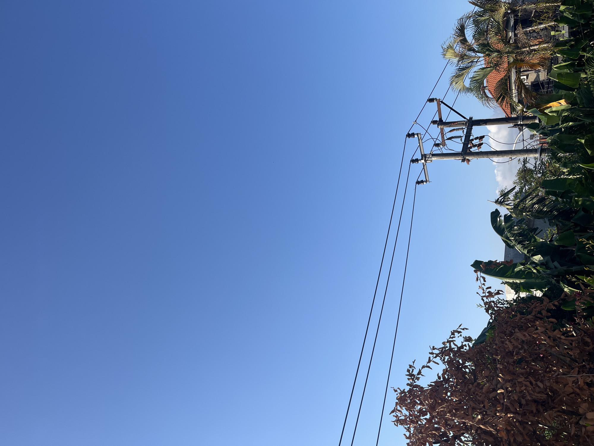 This photograph captures a clear blue sky above a lush green landscape in North Kuta, Indonesia. In the foreground, a cluster of tall, leafy banana plants stands prominently, their vibrant green leaves contrasting with a dried, brown tree to the left. Power lines stretch horizontally across the frame, supported by a wooden utility pole equipped with insulators. Behind the vegetation, a building with an orange-tiled roof is partially visible, suggesting a residential or commercial area. The scene is bathed in natural sunlight, casting subtle shadows. There are no people or animals present in the image.