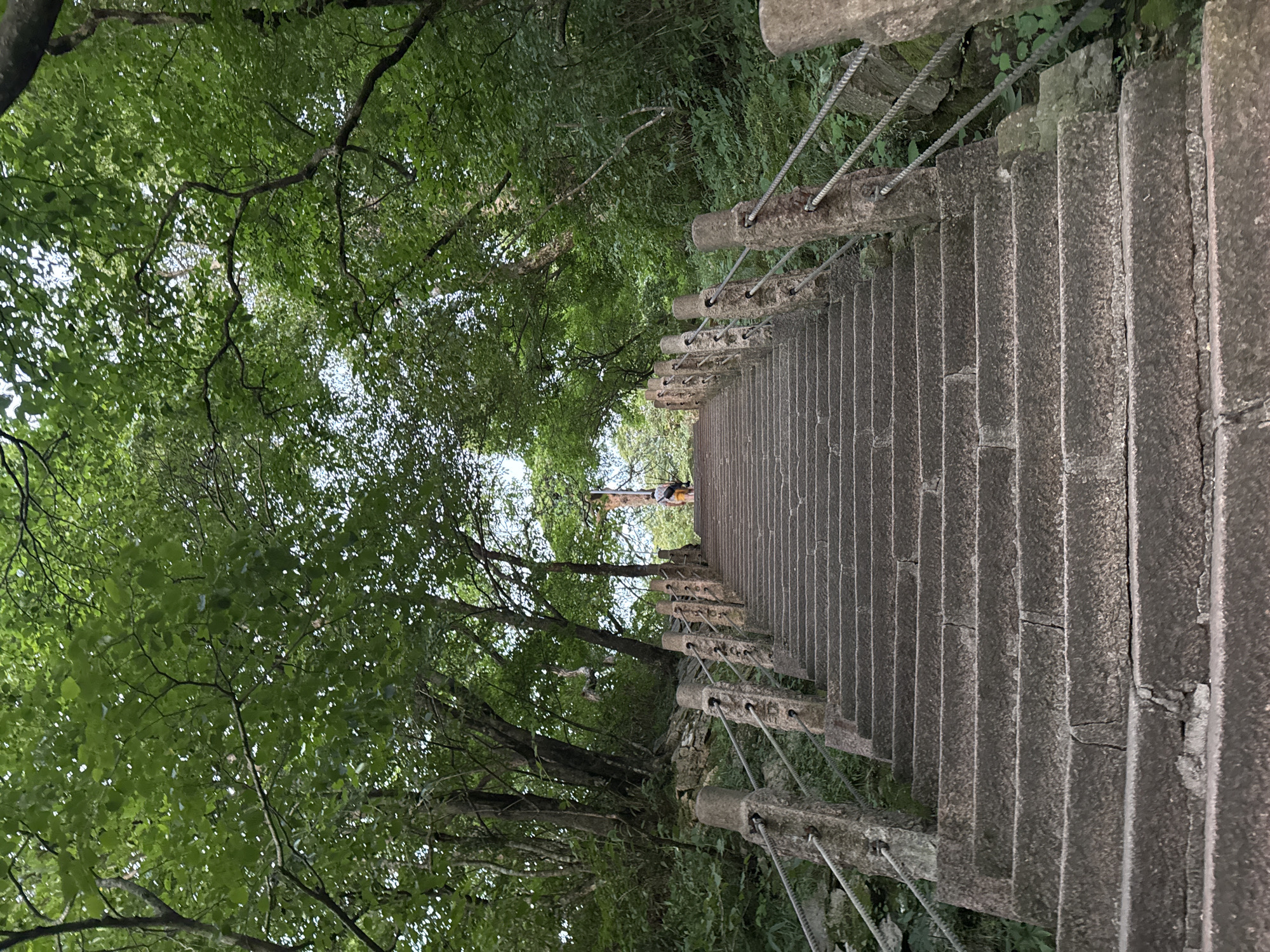 An eye-level shot captures a long, stone staircase ascending upwards through a lush, green forest. The stairs are constructed from rough-hewn, grey stone blocks and are flanked on the right by thick ropes attached to stone posts. To the left, the stairs are bordered by a rocky incline covered in greenery. The staircase appears to be situated in a mountainous region, with dense foliage and trees forming a canopy overhead, allowing dappled sunlight to filter through. In the distance, at the top of the stairs, a lone individual wearing a yellow shirt and dark shorts is visible, walking away from the camera. The overall impression is one of a serene and natural environment, possibly a hiking trail within the Huangshan District of China, a region renowned for its mountainous scenery and natural beauty.