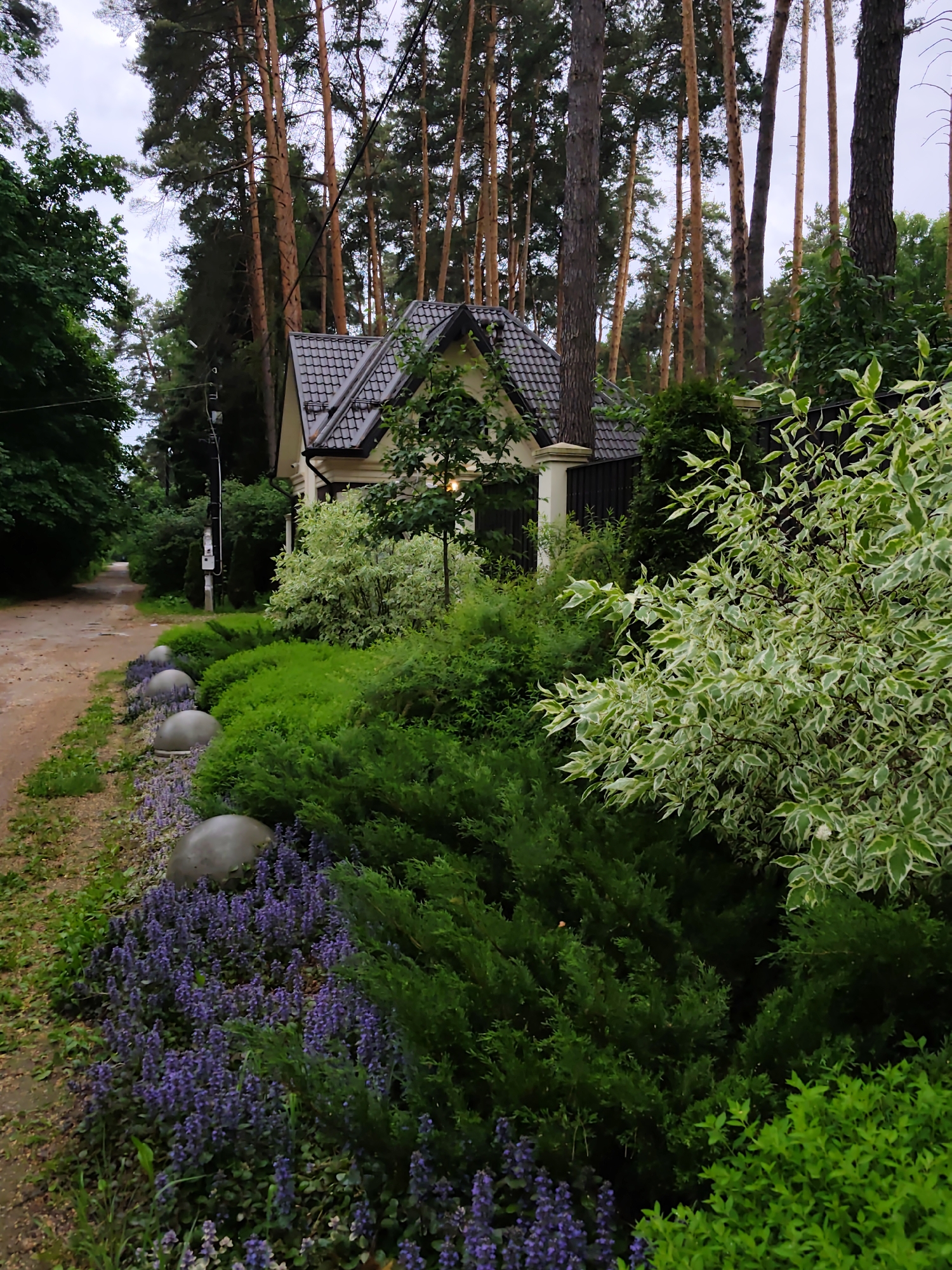 The photograph depicts a residential scene in Kratovo, Russia. A well-maintained path borders an array of meticulously arranged landscaping. Along the path, spherical concrete elements serve as a border. A medley of verdant bushes, flowering plants with purple blooms, and a bush featuring variegated green and white leaves are positioned along the pathway.
A two-story residential building stands further into the scene, set against a dense backdrop of tall, thin trees. The house features a dark-colored, gabled roof. The building's exterior is light-colored. Part of a dark fence is visible behind the landscaped area. A utility pole with attached equipment is present along the path, closer to the residential building. The sky is overcast.