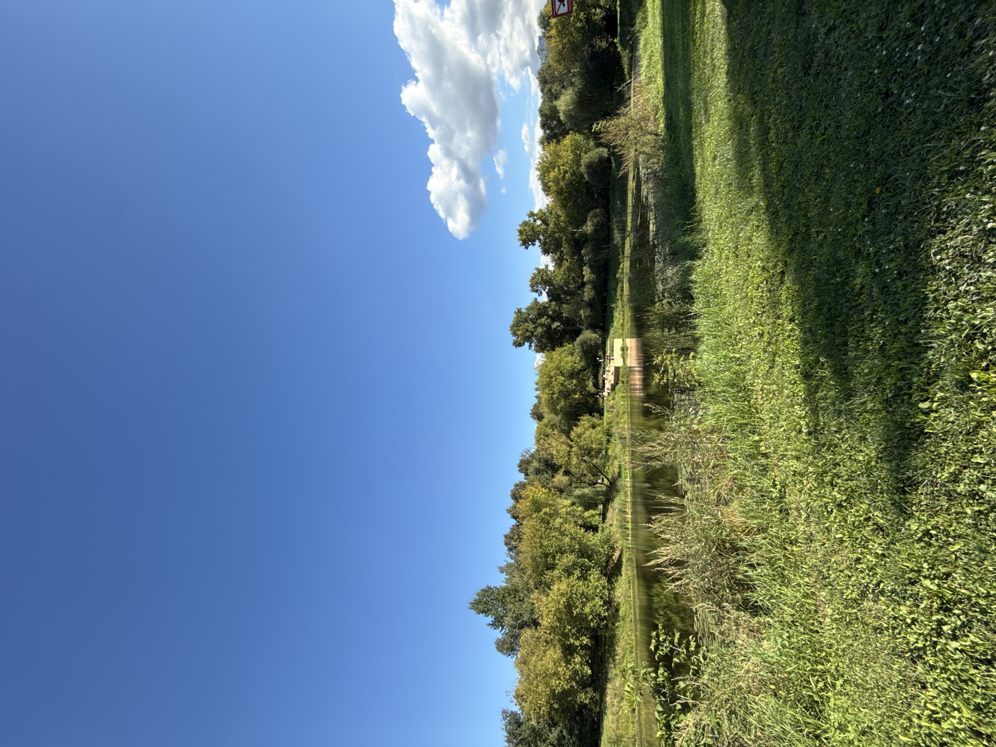 The image depicts a picturesque scene of a tranquil lake surrounded by lush green trees and foliage. The clear blue sky, dotted with a few fluffy white clouds, suggests a pleasant day. The lake's surface reflects the surrounding greenery, creating a serene ambiance. In the background, a cluster of trees forms a dense canopy, with some showing hints of autumn colors. The foreground is dominated by vibrant green grass, casting a long shadow from an unseen object.
This scene is characteristic of the Tsaritsyno Park in Moscow, Russia. The park, with its beautiful landscapes, historic architecture, and various water bodies, offers numerous spots that resemble this view. The presence of well-maintained greenery, the clear water body, and the expansive sky are all hallmarks of this popular Moscow destination. While no people are visible in this particular shot, Tsaritsyno Park is a frequently visited public space, often bustling with visitors enjoying its natural beauty and recreational facilities.