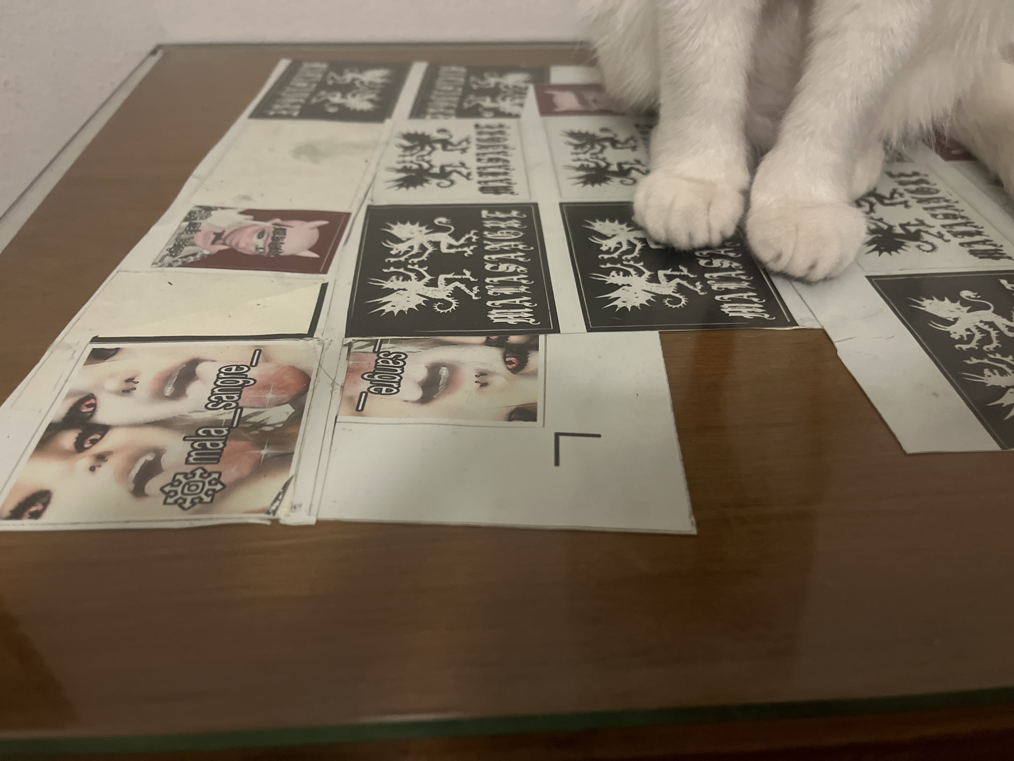 The image shows a close-up of a wooden table with a glass top. The table is covered with a grid of paper cutouts, some featuring images of people and others displaying the words "Matasangre" accompanied by a heraldic lion design. At the top right corner of the image, part of a white cat's legs and paws are visible, resting on the paper cutouts. The setting appears to be indoors.