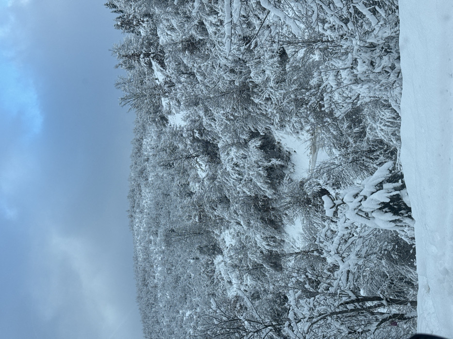 The image displays a snow-covered mountainous or hilly landscape, identified as being within the Tutin Municipality, Serbia. The entire scene is blanketed in a thick layer of fresh, white snow, covering all visible terrain and vegetation. Densely packed deciduous and coniferous trees, heavily laden with snow, dominate the slopes from the mid-ground to the horizon. The sky is overcast with a mix of light blue and grey clouds. A narrow, winding road or track, also covered in snow and showing faint indications of tire tracks, traverses the lower-middle section of the image, cutting through the snowy trees. The immediate foreground consists of a substantial, undisturbed snow drift. No individuals, animals, or prominent man-made structures are visible.
