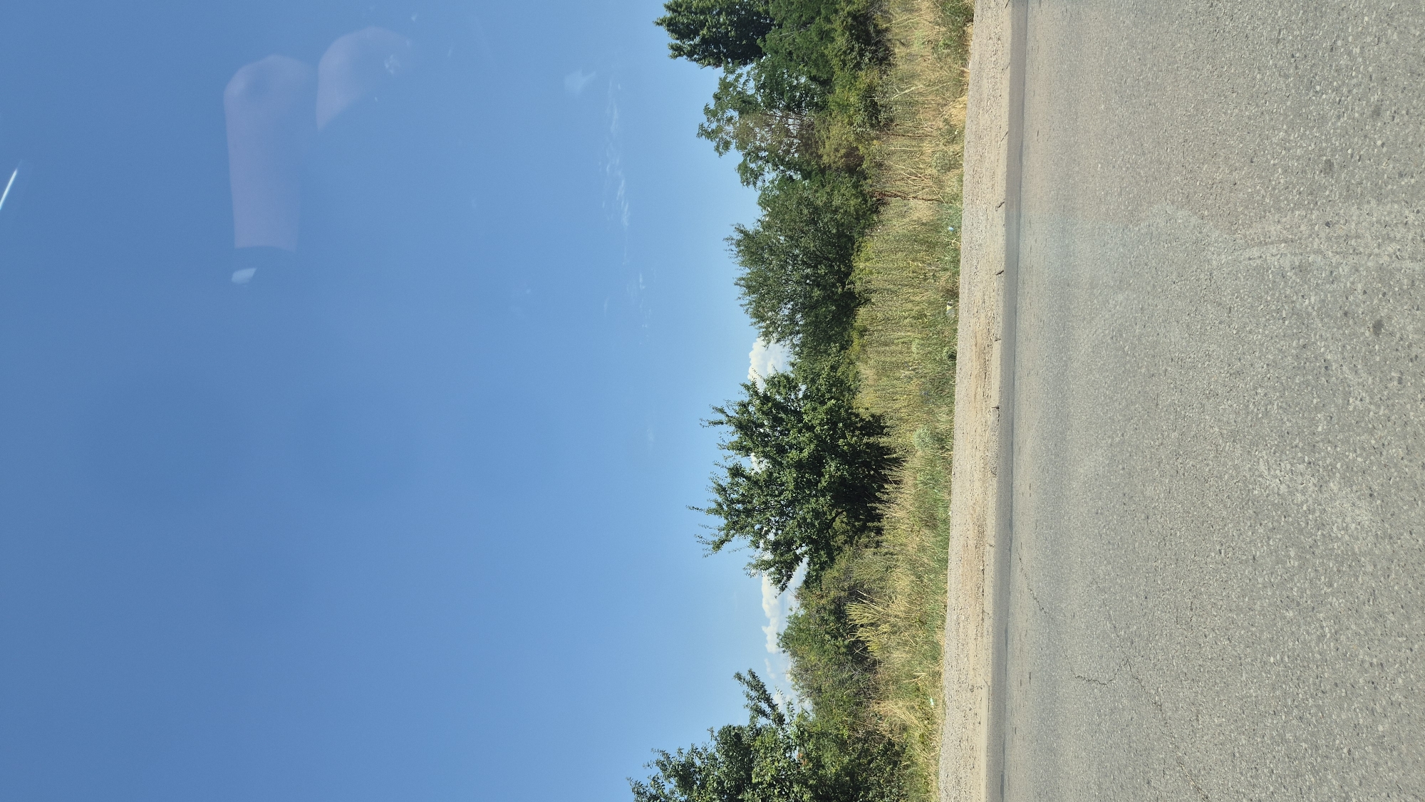 The image shows a road on the left and a line of trees and vegetation on the right. The sky is clear and blue, with some faint clouds. The road is asphalt and appears to be cracked in places. The vegetation consists of various types of trees and tall grass. In the sky, there are reflections of what appear to be a car's dashboard or interior. There is no discernible location in Sofia, Bulgaria, specified in the image. The scene is a roadside view.
