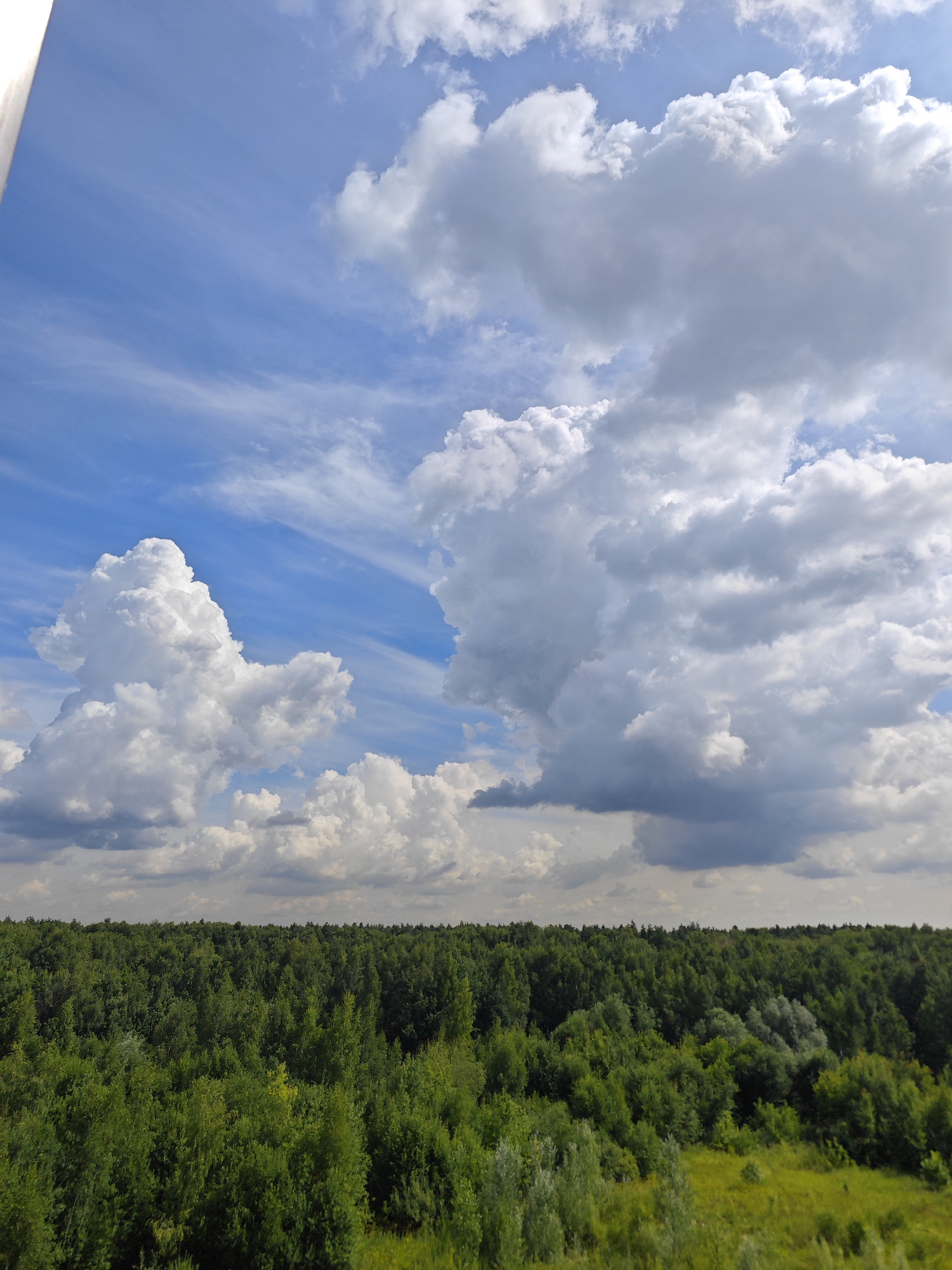 The image depicts a wide-angle view of a dense, green forest under a bright blue sky filled with large, white, fluffy cumulus clouds. The horizon is dominated by the forest canopy, which appears to be made up of various shades of green trees. In the foreground, there is a patch of slightly lighter green grass. The sky occupies roughly the top two-thirds of the image and is a vibrant blue, interspersed with dramatic cloud formations. There are no people, buildings, or specific landmarks visible that would allow for precise identification of a Moscow location. The scene is natural and expansive, suggesting a rural or park-like setting outside of a dense urban area.