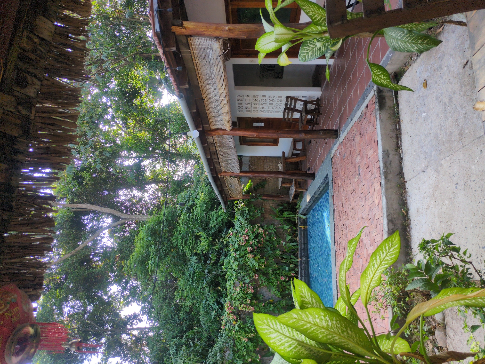 The image depicts an outdoor scene, possibly a resort or guesthouse in an unspecified city, Unknown. The view is taken from under a thatched roof structure, looking out over a small pool and a building with a veranda. The pool is lined with brick and surrounded by lush green vegetation, including flowering plants. The building is a single-story structure with a wooden frame and woven bamboo awnings. The veranda has wooden chairs and a decorative white screen. The background features tall trees that filter sunlight.