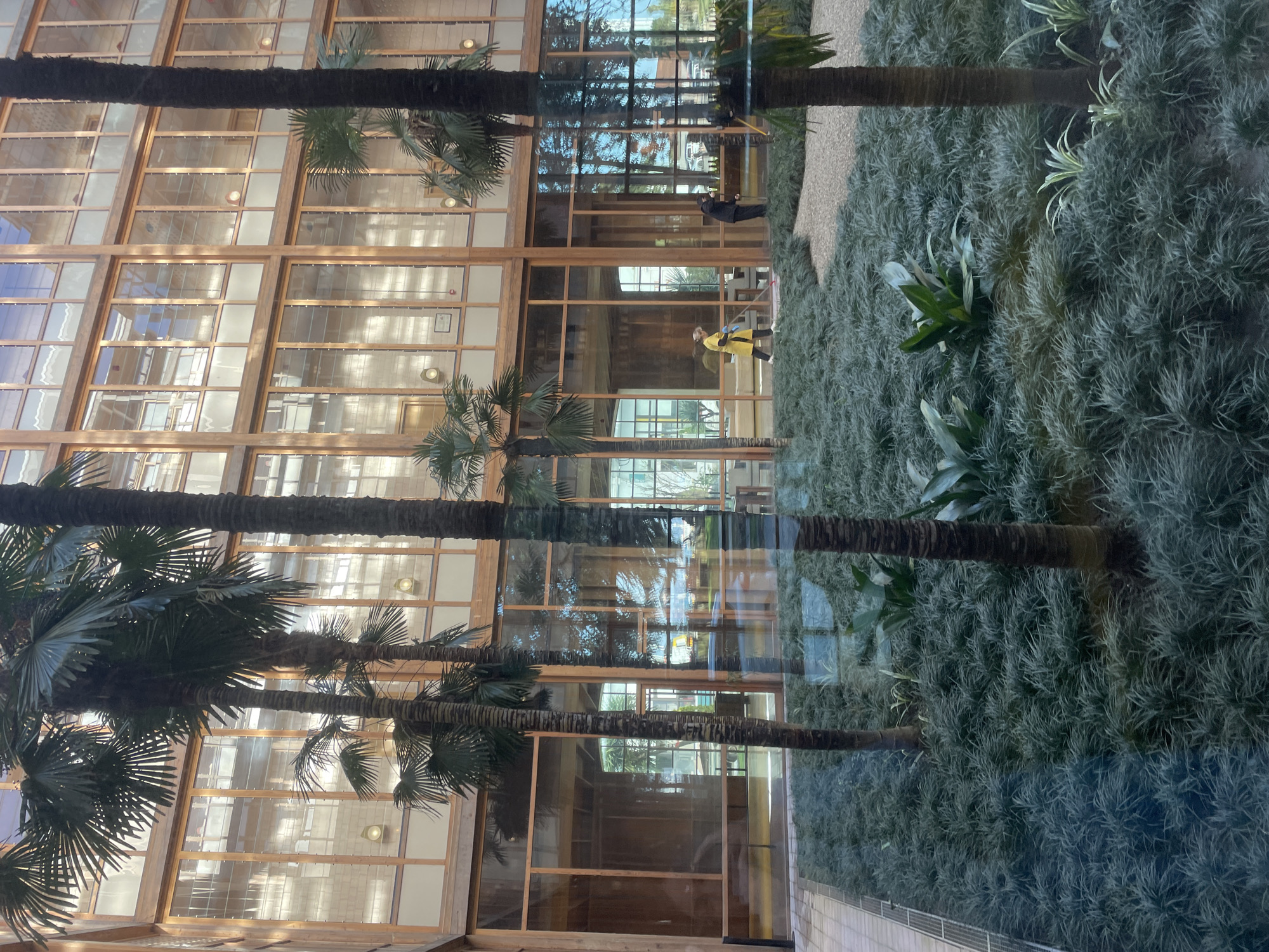 The image depicts a view of a building with a multi-paneled glass facade framed by wooden beams. Palm trees stand in the foreground, partially obscuring the view. The building appears to have multiple floors, and its windows reflect the surrounding environment.
A landscaped area with dense green ground cover stretches alongside the building. Two people are visible inside the building: one wearing a yellow jacket is bending over, and another in a dark suit appears to be standing.
The location is in Batumi, Georgia.