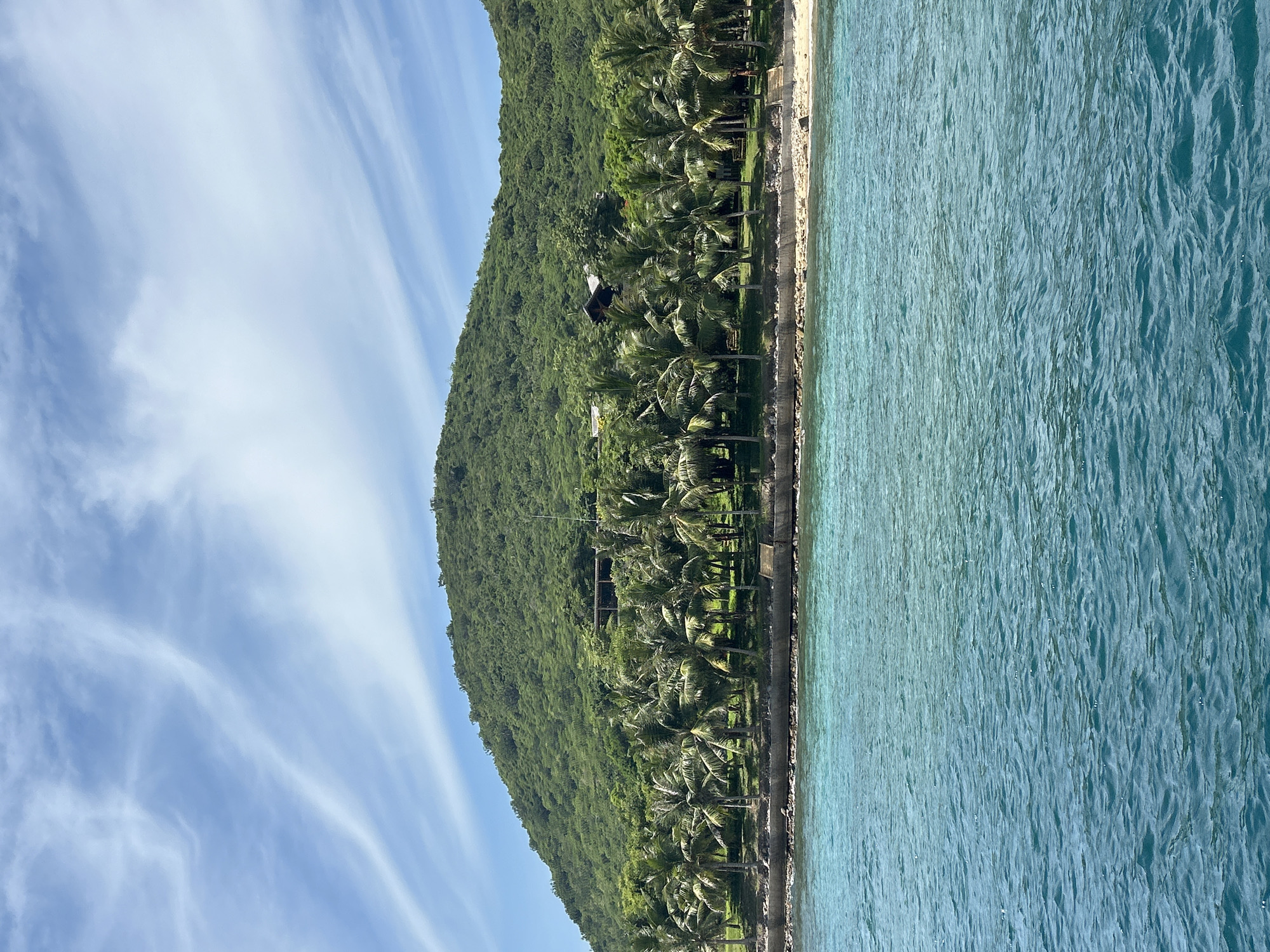 The image depicts a serene coastal scene on a sunny day with wispy clouds in a bright blue sky. In the foreground, the clear, turquoise water of the sea gently laps against a sandy beach. Behind the beach, a line of lush green palm trees stands tall, their fronds rustling in the breeze. Further inland, a verdant, tree-covered hill rises, with a few buildings nestled amongst the trees near its peak. The overall impression is one of tropical tranquility, likely a view from a boat or the shore of an island resort. Without additional context or recognizable landmarks, it is impossible to definitively pinpoint the exact location within Nha Trang, Vietnam. However, the elements present are consistent with the coastal geography and vegetation found in the region.