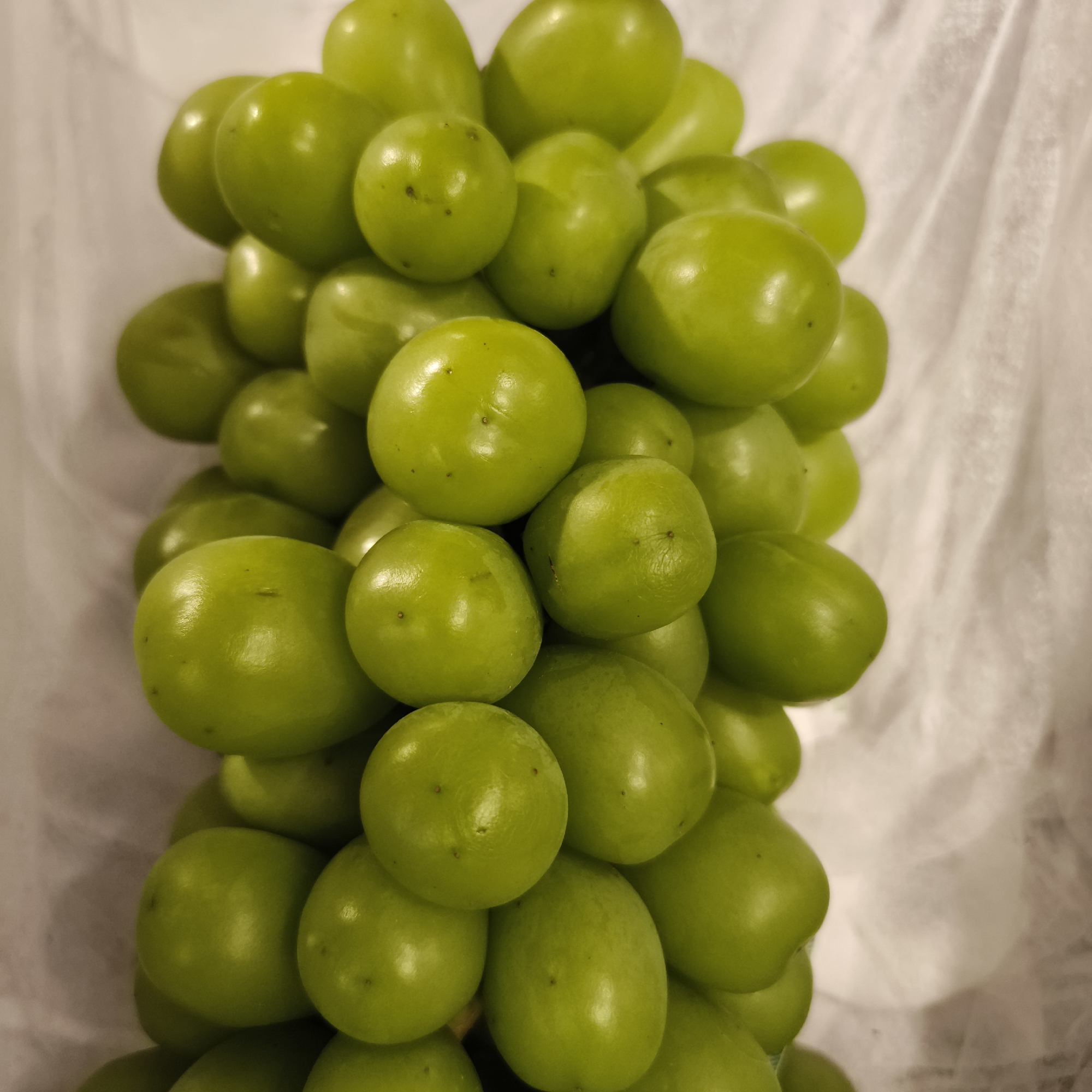 A close-up, vertical, eye-level shot shows a bunch of bright green grapes. The grapes are round to oval in shape and appear plump and juicy, with a smooth, glossy skin. Some grapes have small, dark specks visible on their surface. The grapes are tightly clustered together, forming a dense bunch. The background is a soft, out-of-focus white or light-colored textured material, possibly fabric or paper, which provides a subtle contrast to the vibrant green of the fruit. The lighting highlights the sheen of the grapes, creating soft reflections on their surfaces. There is no indication of the location in Chaikovsky, Russia, or any people present in the image.