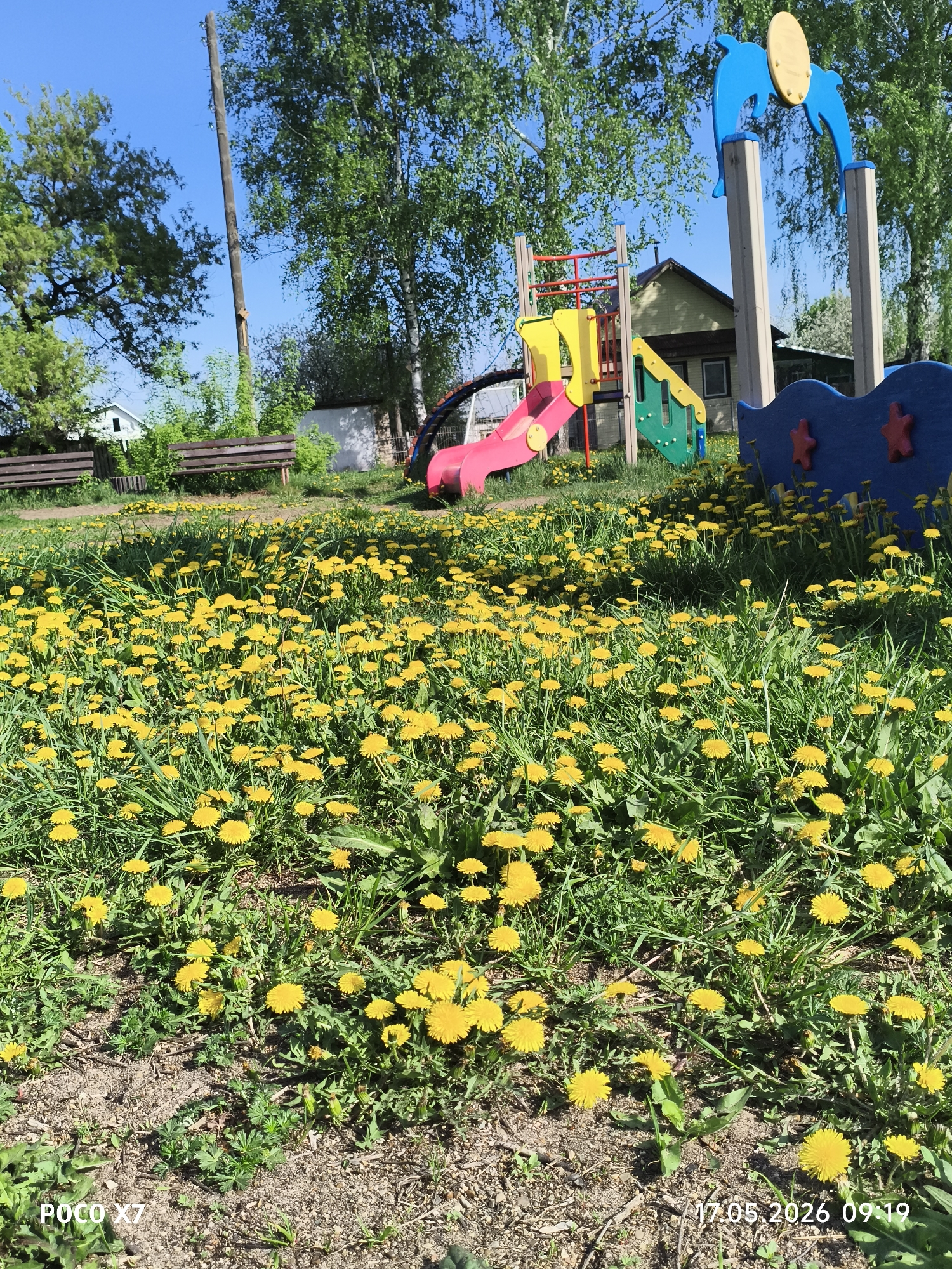 The image depicts a playground in the city of Chaikovsky, Russia. The playground features a slide, a climbing frame, and a structure with two posts topped with blue dolphins supporting a yellow disc. Two wooden benches are visible in the background. The playground is surrounded by a field of dandelions. A wooden utility pole stands near the trees. The date and time stamp "17.05.2026 09:19" is visible in the lower right corner of the image. The "POCO X7" watermark is visible in the lower left corner.