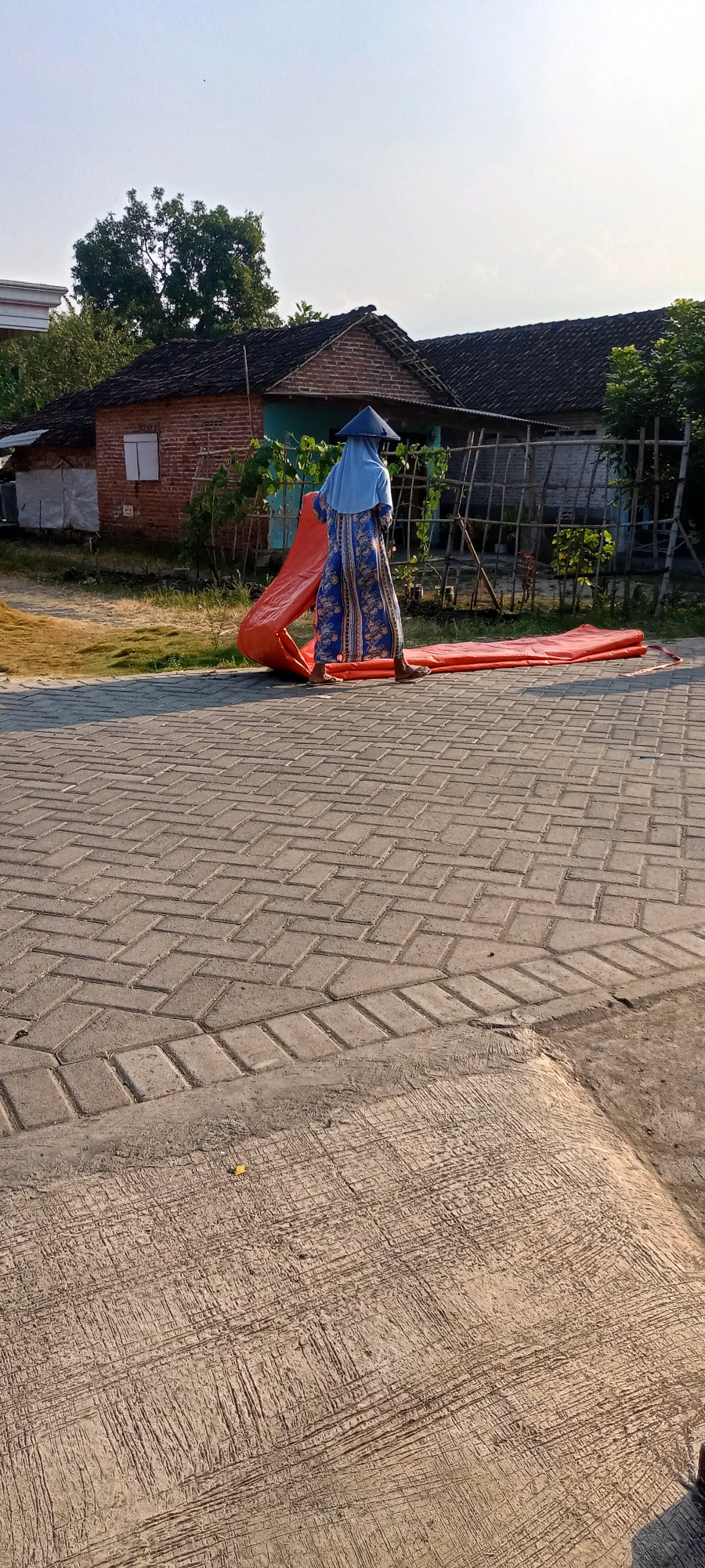 In Gempolklutuk, Indonesia, on a paved area with interlocking bricks, a person wearing a blue headscarf and a patterned blue and gold dress is interacting with a large, unfolded orange tarp. The tarp lies on the ground, extending from the foreground towards a modest, brick house with a dark tiled roof in the background. The house has a white-framed window on its brick facade. The environment is outdoors, with trees and vegetation visible around the house, suggesting a residential or rural setting. The sky is clear and bright, indicating daylight.