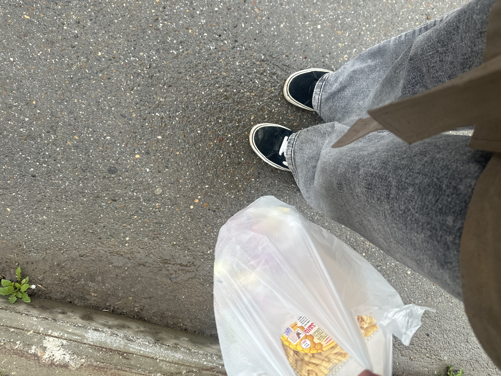 The image shows a person standing on an asphalt surface, likely a sidewalk or street in Chaikovsky, Russia. The person is wearing gray jeans and black shoes with white soles. They are holding a clear plastic bag containing a package of food with Cyrillic text visible on the label. A patch of green plants grows near the curb. The asphalt surface appears to be wet. The time of day is daytime due to the presence of daylight.