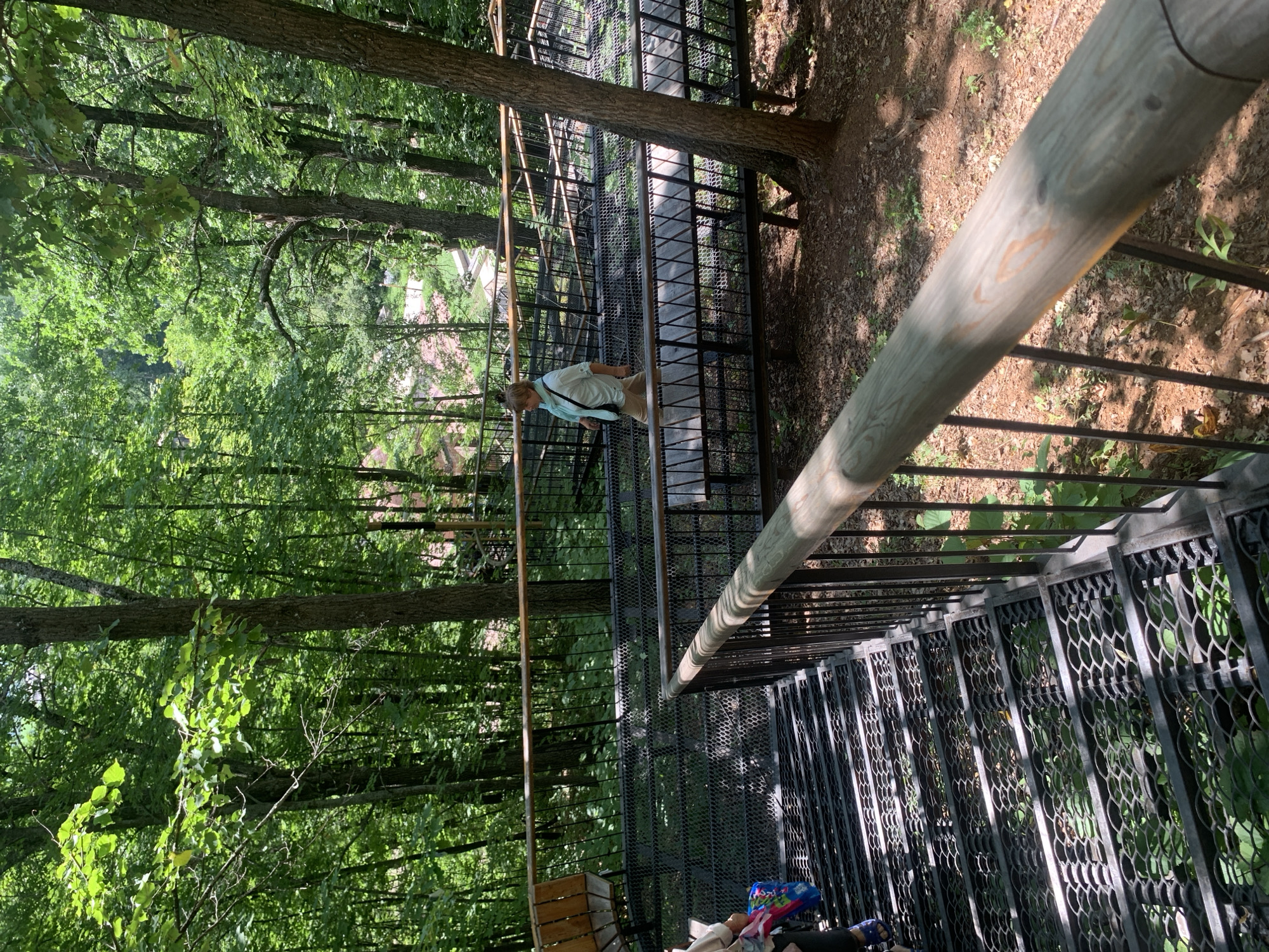 The image shows a person walking down a metal staircase in a wooded area. The staircase is part of a raised walkway with railings. There are trees and foliage all around, and sunlight filters through the leaves. In the background, more of the walkway is visible, with benches and other people. The location is identified as Arbuzov-Baran, Russia. The overall impression is of an outdoor recreational area in a forest.
