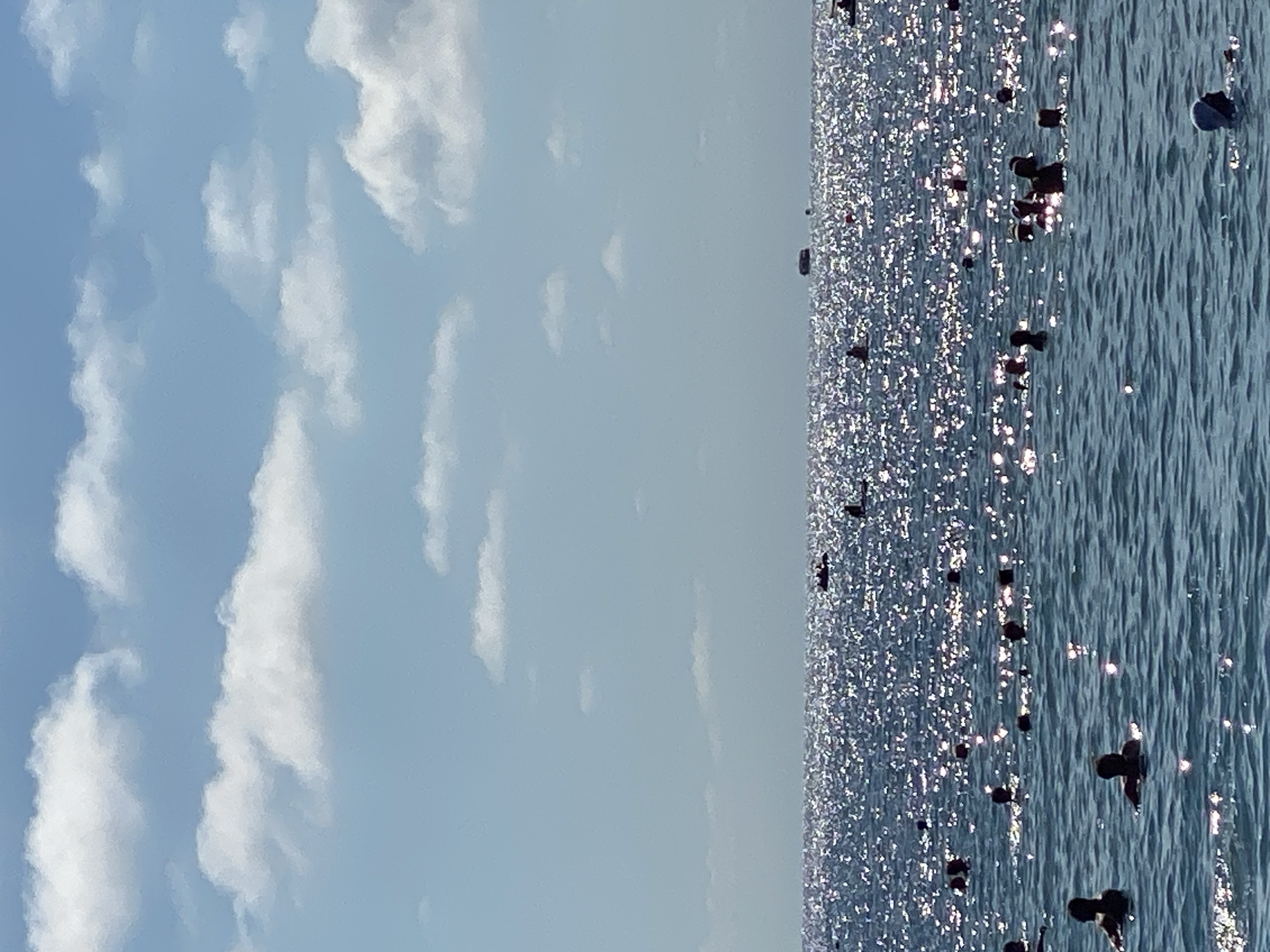 The image captures a wide shot of a beach scene in Arkhipo-Osipovka, Russia, under a bright, partly cloudy sky. The sea is filled with numerous people swimming and enjoying the water. The surface of the sea is highly reflective, with sunlight creating a shimmering effect. In the background, several small boats and a larger vessel can be seen on the horizon, with a few distant figures scattered across the water. The overall impression is one of a busy, sunny day at the beach.