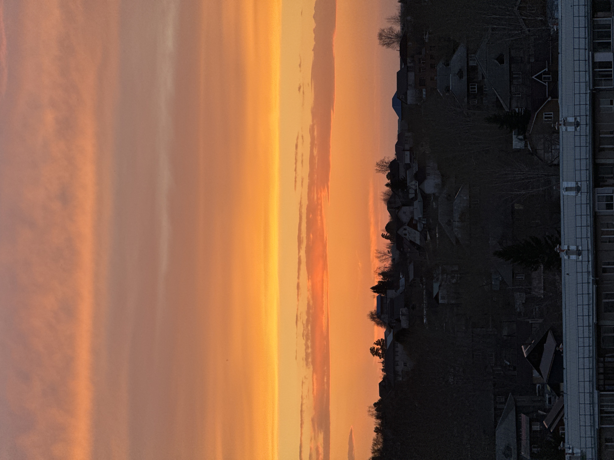 The image depicts a sunset over Krasnoyarsk, Russia. The sky is filled with orange and pink hues, with elongated cloud formations. A residential area is visible in silhouette, consisting of houses and trees. Adjacent to the residential area is a multi-story building. The image appears to be taken from an elevated position.