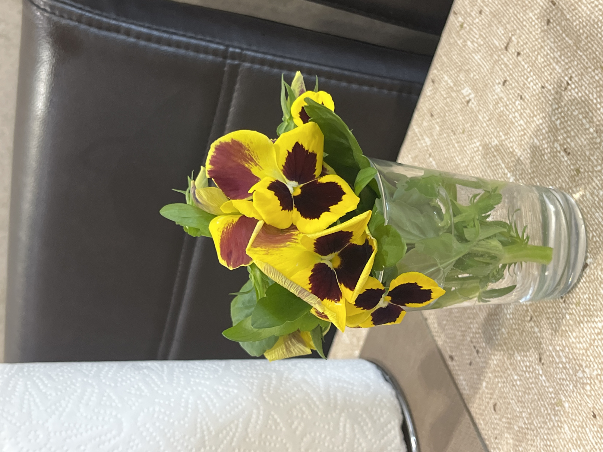This media file displays a close-up, vertically oriented shot of a small bouquet of yellow and dark purple pansies in a clear glass. The flowers are vibrant, with bright yellow petals edged in a deep, rich purple, and dark centers. Some of the pansies have buds, suggesting the bouquet is fresh. They are held in a simple, clear glass that contains water and some green stems.
The bouquet is positioned on a textured, light-brown surface that appears to be a placemat or tablecloth. To the left, a portion of a dark, possibly leather, chair is visible. In the foreground, at the bottom of the frame, a roll of white paper towels with a distinct textured pattern is partially visible.
The lighting suggests an indoor setting, likely during the daytime. There are no people visible in the image. The overall mood is simple and natural, focusing on the delicate beauty of the flowers. The scene appears to be a still life arrangement, perhaps on a table in a home or cafe. There is no visible text within the image. The location context provided is Koroviia, Ukraine.