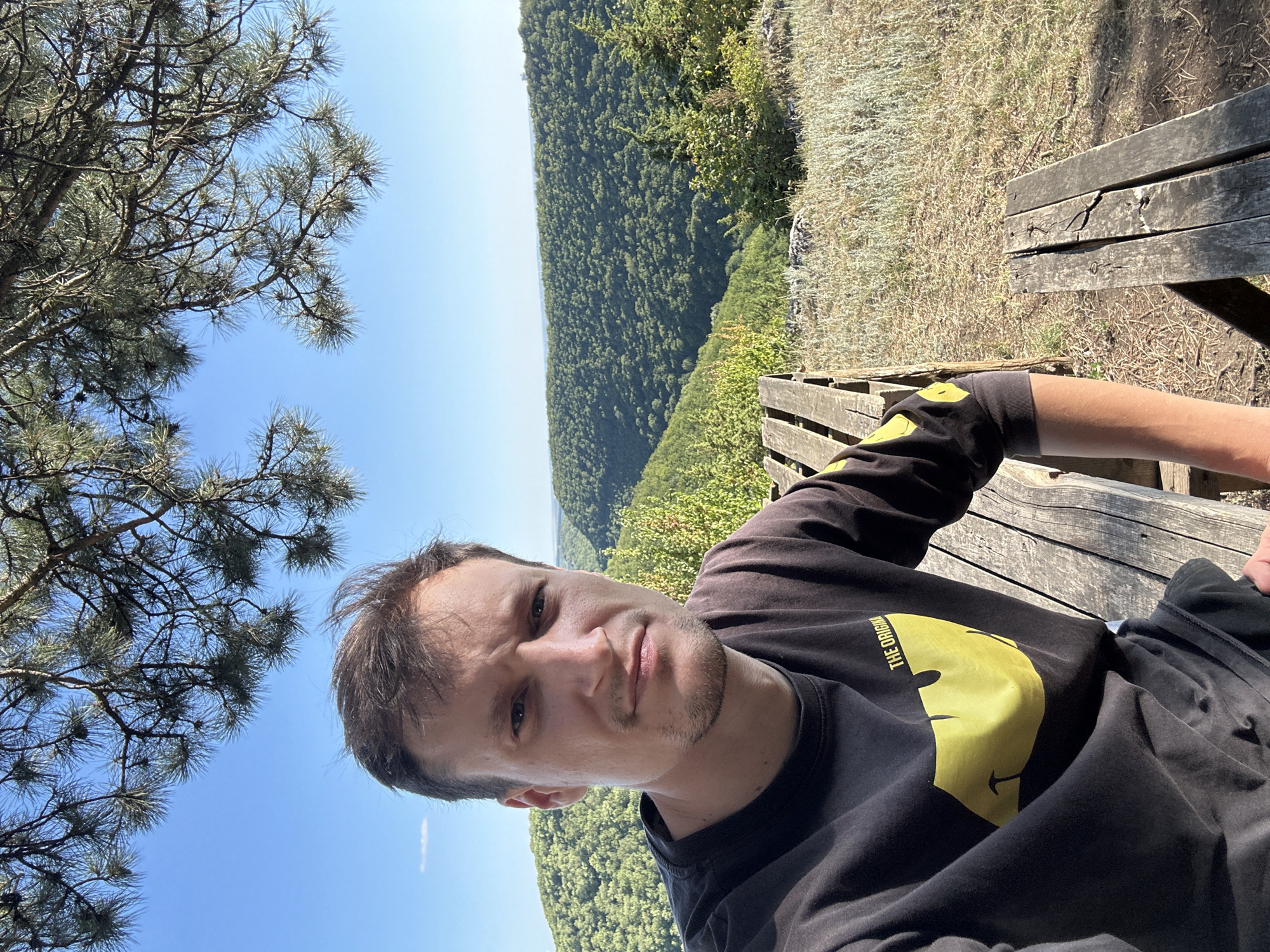 A young man with short, brown hair and a light beard is taking a selfie while sitting on a wooden bench. He is wearing a black t-shirt with a large yellow smiley face graphic and text that reads "THE ORIGIN". The man is looking towards the camera with a neutral expression.
The background is a scenic view of a lush, green valley filled with dense trees. The valley slopes down and extends towards the horizon, where it meets a hazy sky. To the right of the man, the wooden bench he is sitting on is visible, along with dry, grassy ground. Above and to the left of the man, the branches and needles of a pine tree are silhouetted against a clear blue sky.
The lighting suggests it is daytime, likely late morning or early afternoon, given the bright sunlight and shadows. The overall impression is one of a peaceful outdoor setting, possibly a viewpoint or a park, during fair weather. The image appears to have been taken in Humentsi, Ukraine.