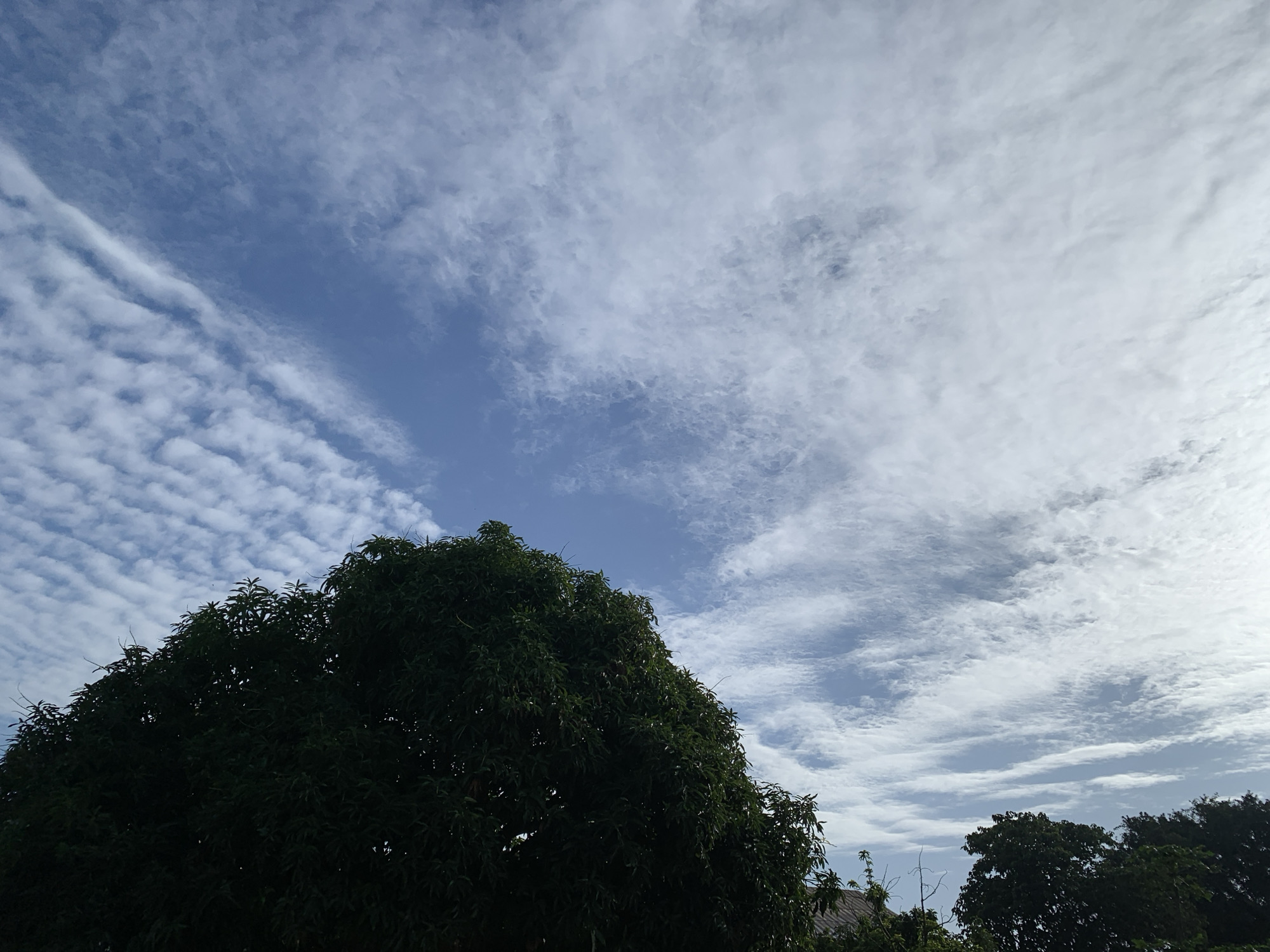 An outdoor, low-angle, full shot captures the sky and the tops of several trees. The sky is a bright blue with numerous white, wispy clouds. The clouds are arranged in distinct rows, giving the sky a textured appearance. The tops of several dark green trees fill the bottom of the frame. The trees appear lush and full of leaves. In the far right of the frame, a small portion of a roof is visible, suggesting a residential area. The overall scene suggests a clear, possibly windy day. The location is Kuru Karama, Nigeria.
