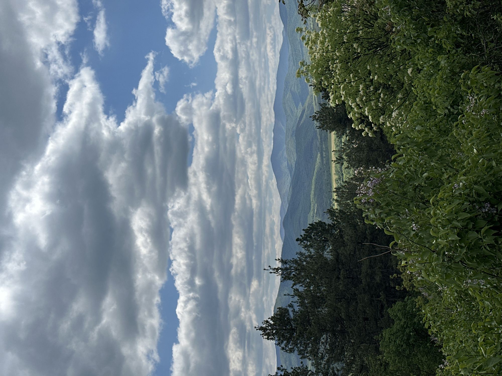 The image shows a landscape with a view of mountains in the distance, likely taken near Raianovtsi, Bulgaria. The sky is filled with numerous long, parallel clouds against patches of blue sky. In the midground, mountains are visible. The foreground features lush green foliage and trees. The shot appears to be taken from an elevated position.