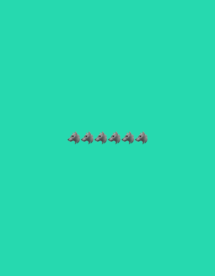 Six grey wolf head emojis are arranged in a horizontal line in the center of a teal background. The emojis are evenly spaced and appear to be facing the same direction. The image is a simple graphic with no discernible location.