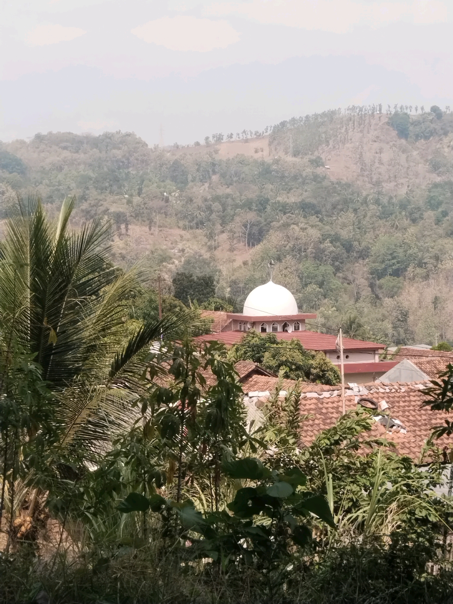 The image depicts a village scene in Cawitali, Indonesia, nestled at the base of a lush, tree-covered hillside. In the foreground, dense green foliage and palm fronds dominate, obscuring parts of the village architecture. A prominent white-domed mosque with a slender minaret stands out amidst a cluster of buildings with terracotta tile roofs. The surrounding landscape is characterized by rolling hills covered in a dense canopy of trees, with evidence of terraced farming or smaller settlements further up the slopes. The sky above is hazy, suggesting a warm, humid climate. No people are visible in the frame.