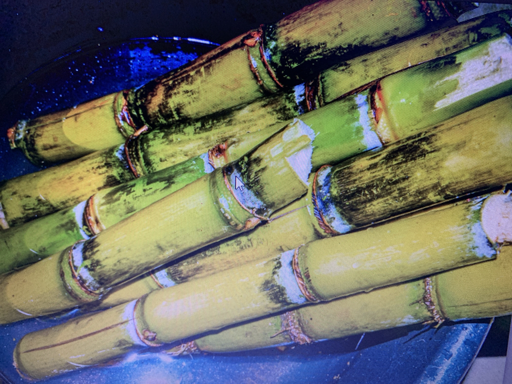 A close-up, overhead view shows several stalks of sugarcane submerged in dark blue water, likely a basin or trough. The sugarcane stalks are primarily yellow-green, with prominent nodes marked by reddish-brown rings. Some stalks show dark green or blackish blemishes and striations, indicating age or natural variations. The water is slightly murky, with small white specks visible, possibly debris or air bubbles. The lighting is dim, casting subtle shadows and highlighting the glossy texture of the sugarcane. The image does not provide any specific contextual information that would allow for pinpointing a location within Jos, Nigeria.