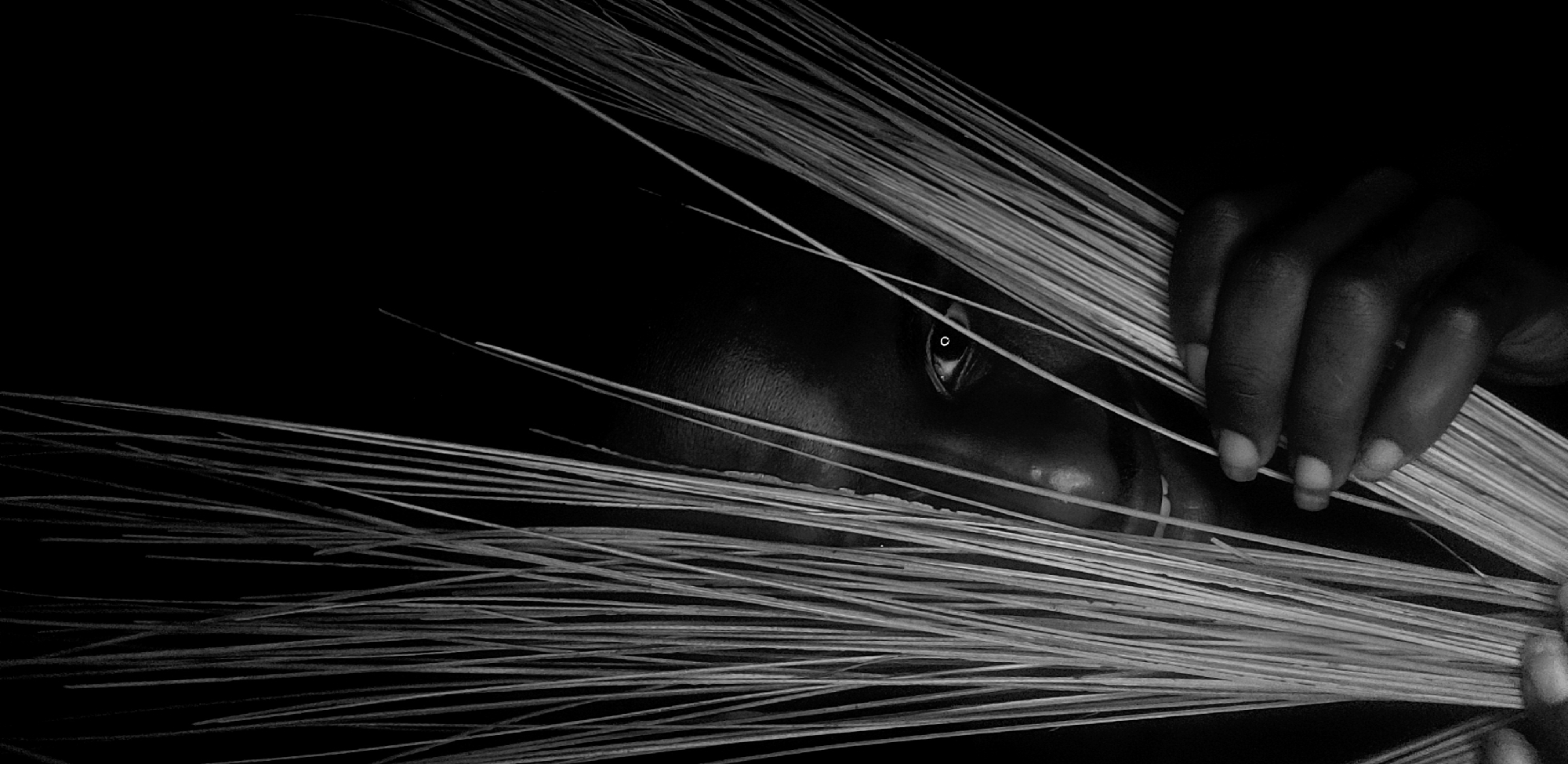 A black and white photograph depicts a person's face obscured by a bundle of thin, linear objects, possibly straw or grass. The person's eye is visible, staring directly at the viewer. The person's hand is seen holding the bundle. The background is dark, obscuring the location. The context is Narayi, Nigeria, but this is not explicitly evident within the image.
