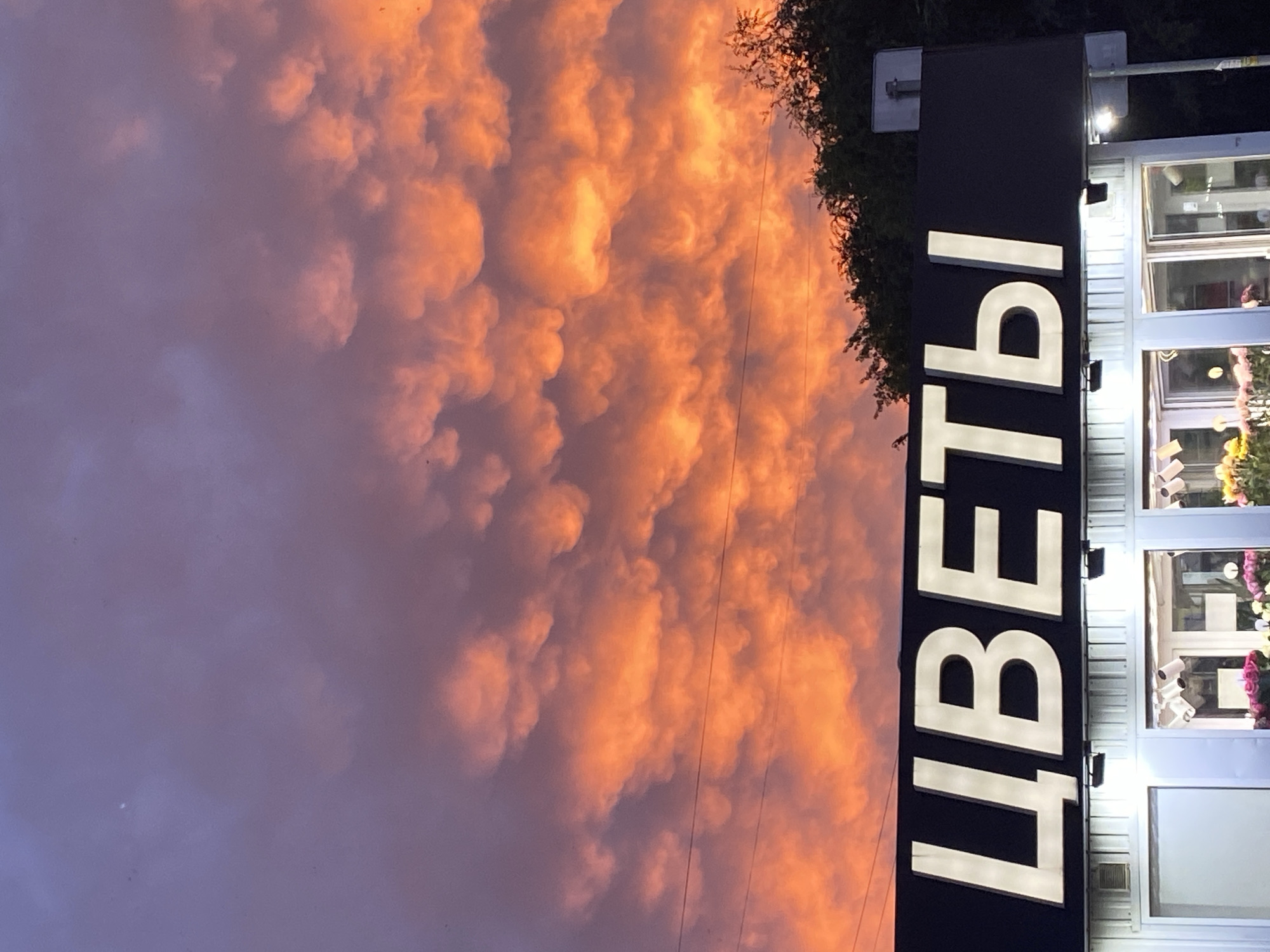 The image depicts a storefront with a prominent sign reading "ЦВЕТЫ" (Flowers) in large, illuminated white letters. Below the sign, the storefront features large glass windows displaying an assortment of flowers, suggesting a flower shop. The sky above is filled with dramatic, orange and purple mammatus clouds, indicating an unusual weather phenomenon, possibly associated with a storm. A line of trees can be seen behind the storefront. The scene appears to be captured at dusk or dawn due to the colors of the sky. While the exact location in Irkutsk, Russia is not specified, the Cyrillic lettering on the sign confirms it is in a Russian-speaking area. There are no people visible in the image.