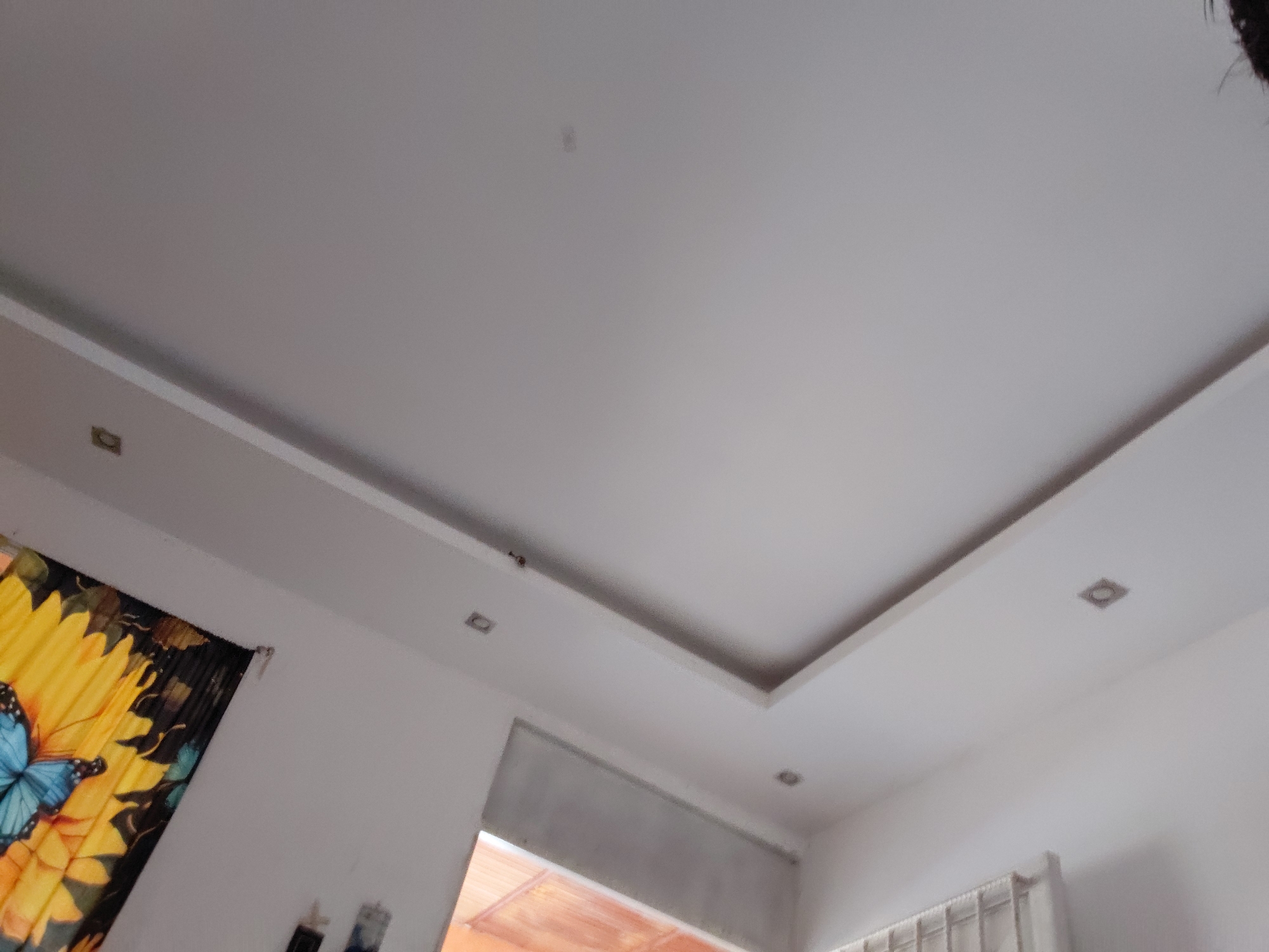 This image presents an upward view of the interior of a room, likely a residence in Santa Ana, Venezuela. The dominant feature is a modern, multi-level white ceiling, characterized by a stepped design and integrated recessed square lights. Three such lights are clearly visible: one on the left, one centrally on the right side of the main ceiling panel, and a third partially shown in the far right corner. A small, dark, irregular mark, possibly a smudge or an insect, is present on the upper central ceiling panel.
On the left side of the frame, a vibrant curtain or tapestry displays large yellow sunflower-like flowers accented with a prominent blue butterfly. Below the ceiling line, a section of a white wall is visible, with an indistinct framed object or decoration further down the wall. A rectangular opening at the bottom-center reveals an orange-brown surface, possibly tiles or wood, in an adjacent space. Towards the bottom-right, part of a window with white curtains or blinds is visible. A dark, blurry shape, consistent with hair, is visible at the very top right edge of the frame, suggesting the perspective of a person looking up. The room appears brightly lit, suggesting it is daytime. No specific activities are depicted, and no text is visible within the scene.