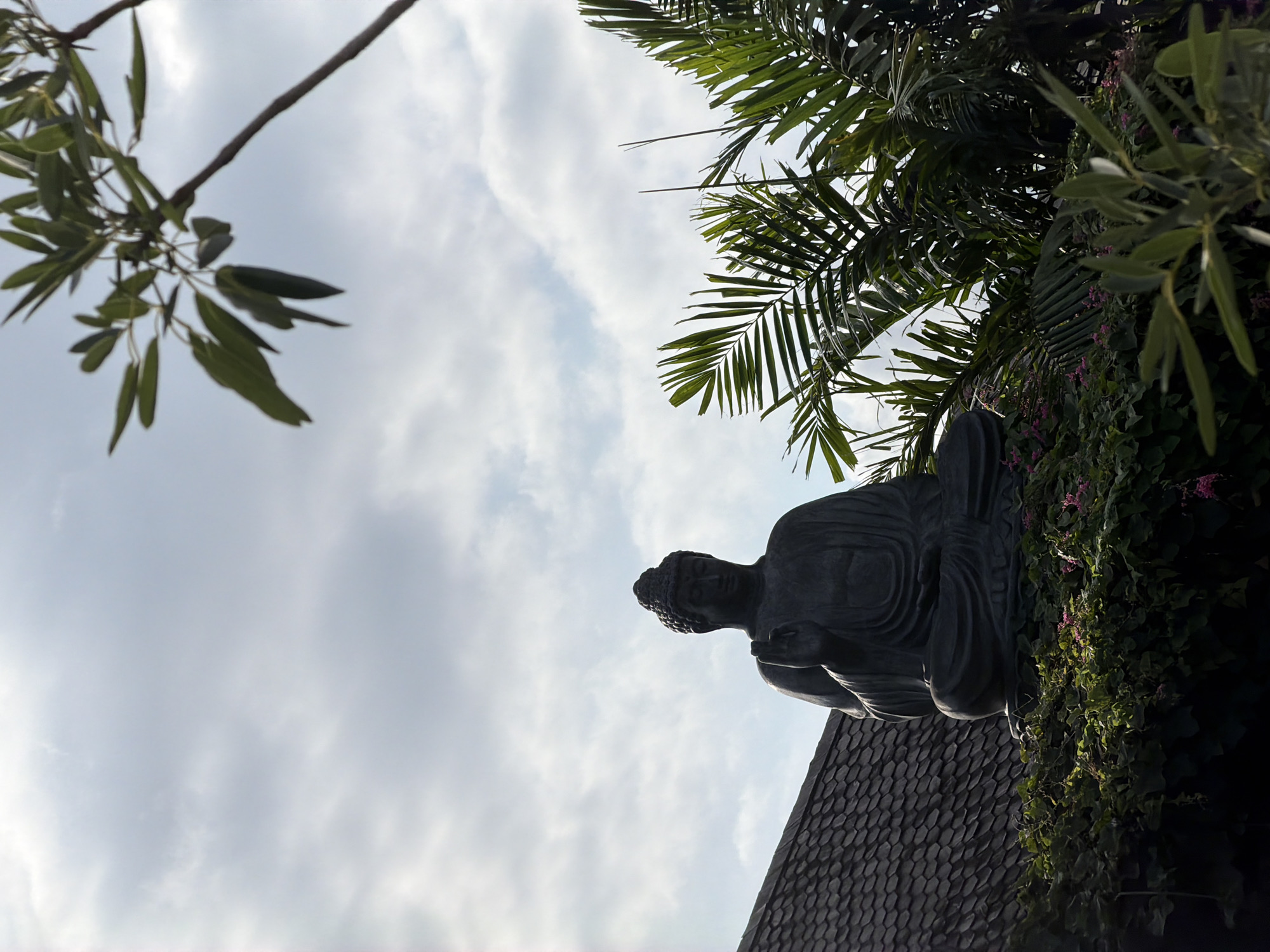 The photograph shows a stone Buddha statue in a seated meditative posture against a cloudy sky. The statue appears to be outdoors, positioned atop a dark roof with overlapping tile shingles. Green vegetation, including palm fronds and flowering vines, surrounds the statue. In the upper left, a tree branch extends into the frame. The location is Mengwi, Indonesia.
