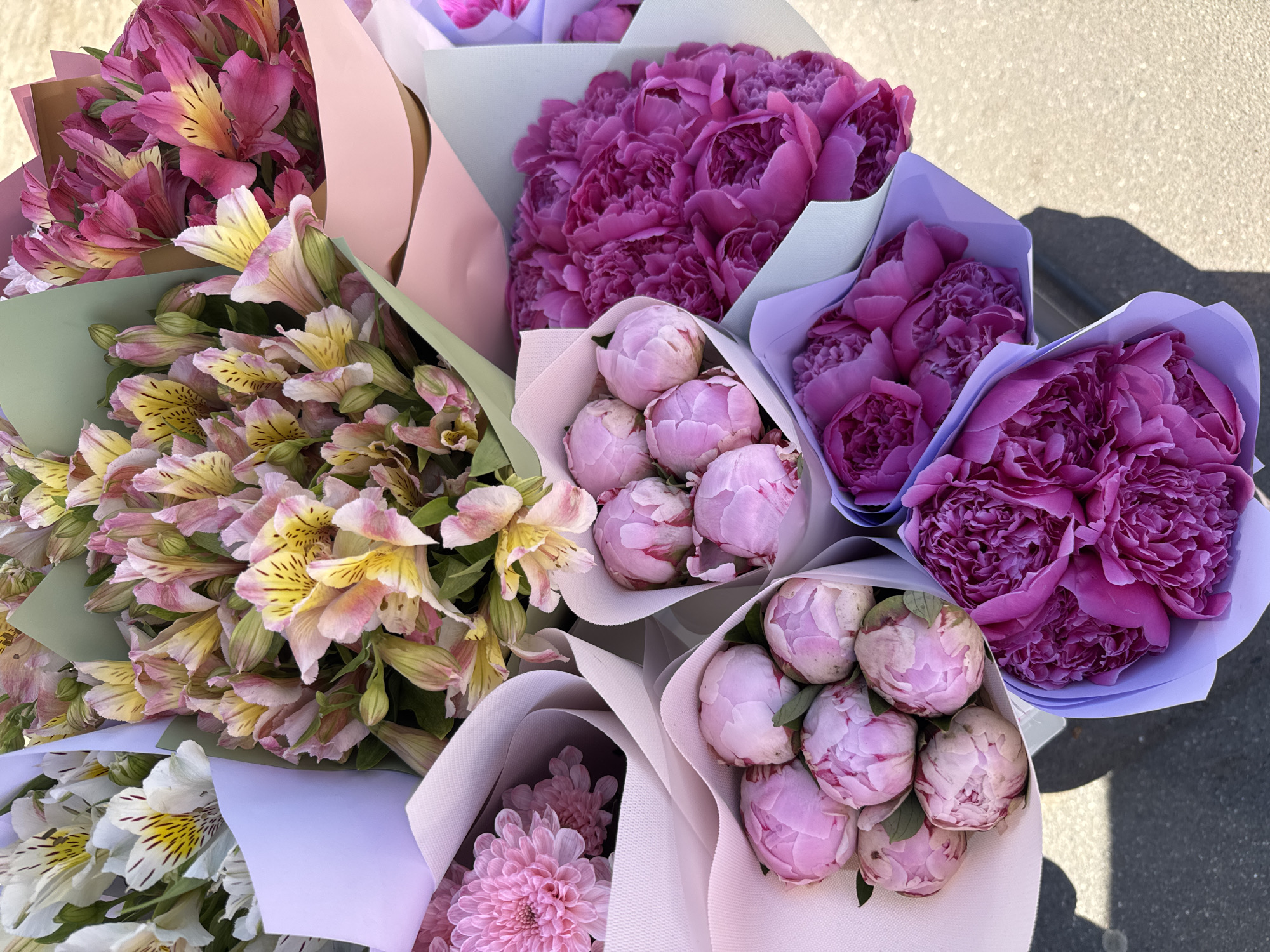 The image presents a vibrant array of fresh flower bouquets, likely displayed for sale at an outdoor market or street stall in Saint Petersburg, Russia. The scene is brightly lit by the sun, casting distinct shadows on the paved ground, indicating a clear day, possibly late morning or afternoon.
The bouquets feature a diverse selection of flowers. Many arrangements consist of alstroemeria (Peruvian lilies), showcasing petals in shades of pink and magenta with speckled yellow centers, alongside bouquets of white alstroemeria with similar yellow and dark markings. Prominently featured are bouquets of peonies: some are fully bloomed with rich, dark magenta petals, while others consist of delicate, tightly closed light pink peony buds. One bouquet at the bottom left also displays light pink chrysanthemum-like flowers.
Each bouquet is elegantly wrapped in pastel-colored paper or fabric, including hues of light pink, pale green, light blue, lavender, and cream, enhancing their presentation. No people are visible, but the arrangement suggests a commercial setting. There is no visible text in the image. The overall impression is one of fresh beauty and an abundant selection of flowers.