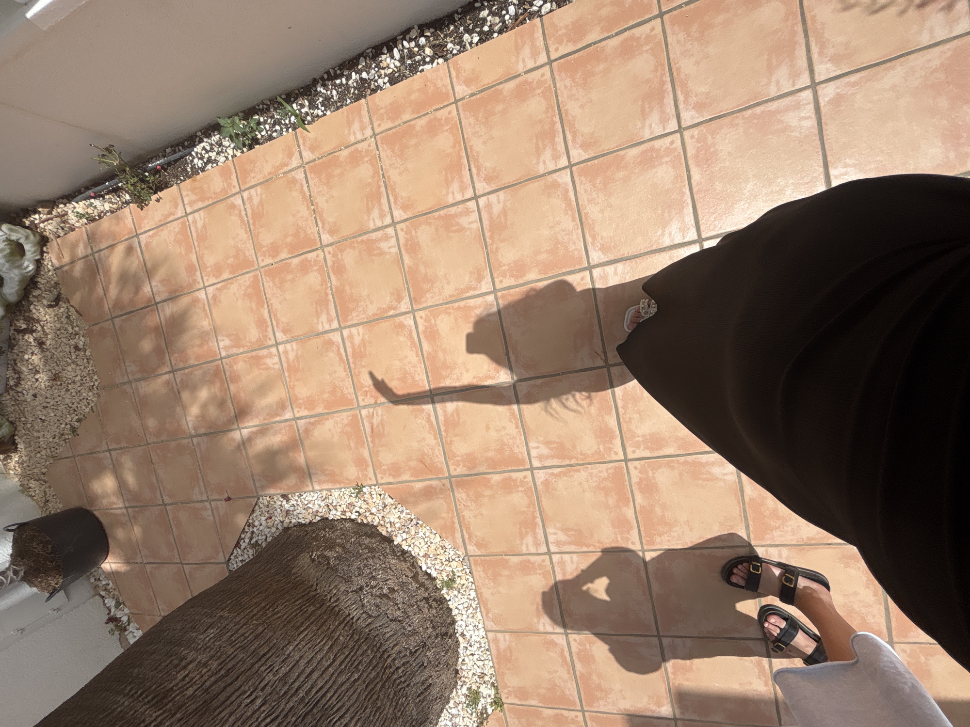 The image depicts an outdoor tiled patio area, possibly in the city of Orihuela, Spain, as indicated by the context. A large, textured palm tree trunk dominates the left side of the frame, surrounded by small, light-colored stones. In the upper left corner, a dark, cylindrical pot filled with dried plant material is visible. The patio floor is composed of square, terracotta-colored tiles. Sunlight casts distinct shadows on the tiles. In the foreground, a person's legs and feet are visible, wearing black sandals. The person is also wearing dark, flowing fabric, likely a skirt or dress. Shadows of two individuals are cast on the patio; one larger shadow, likely from the person in the foreground, shows an arm raised. Another, smaller shadow, to the left, suggests a second person or a reflection from a camera being used to take the photo. The scene is bathed in bright sunlight, creating a clear contrast between illuminated areas and shadows.