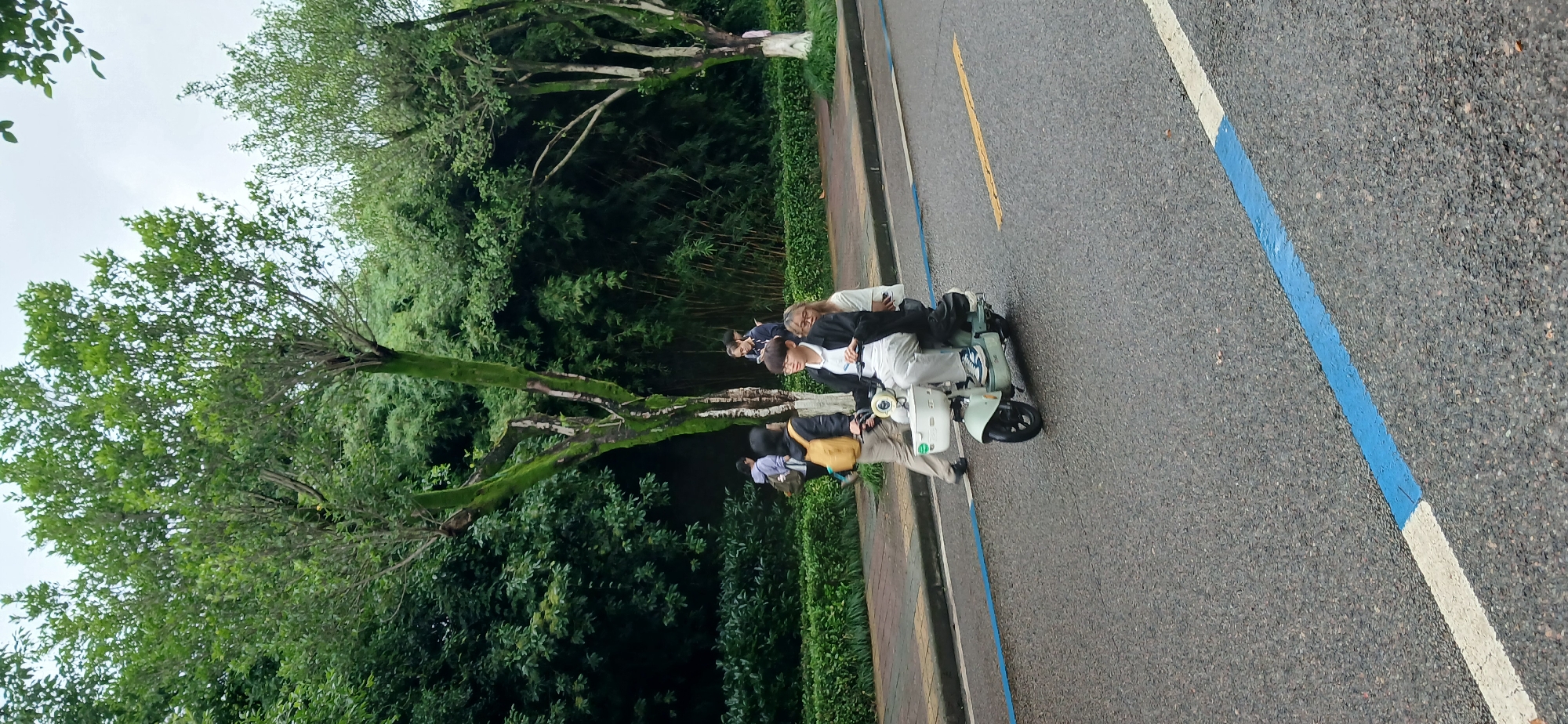 In Chongqing High-tech Zone, China, two individuals ride a light green electric scooter down a wet asphalt road. The rider in front, a person with short dark hair and glasses, wears a white polo shirt, a black jacket, and light-colored pants. The passenger behind, a person with long blonde hair, wears a white top and a dark jacket. They are traveling on a road marked with a blue and white stripe. To their left, a paved sidewalk is bordered by a low green hedge and lush trees. Behind the hedge, bamboo stalks are visible, and further back, more trees with green foliage dominate the background under an overcast sky. Several other pedestrians are visible on the sidewalk in the distance, one carrying a yellow backpack.