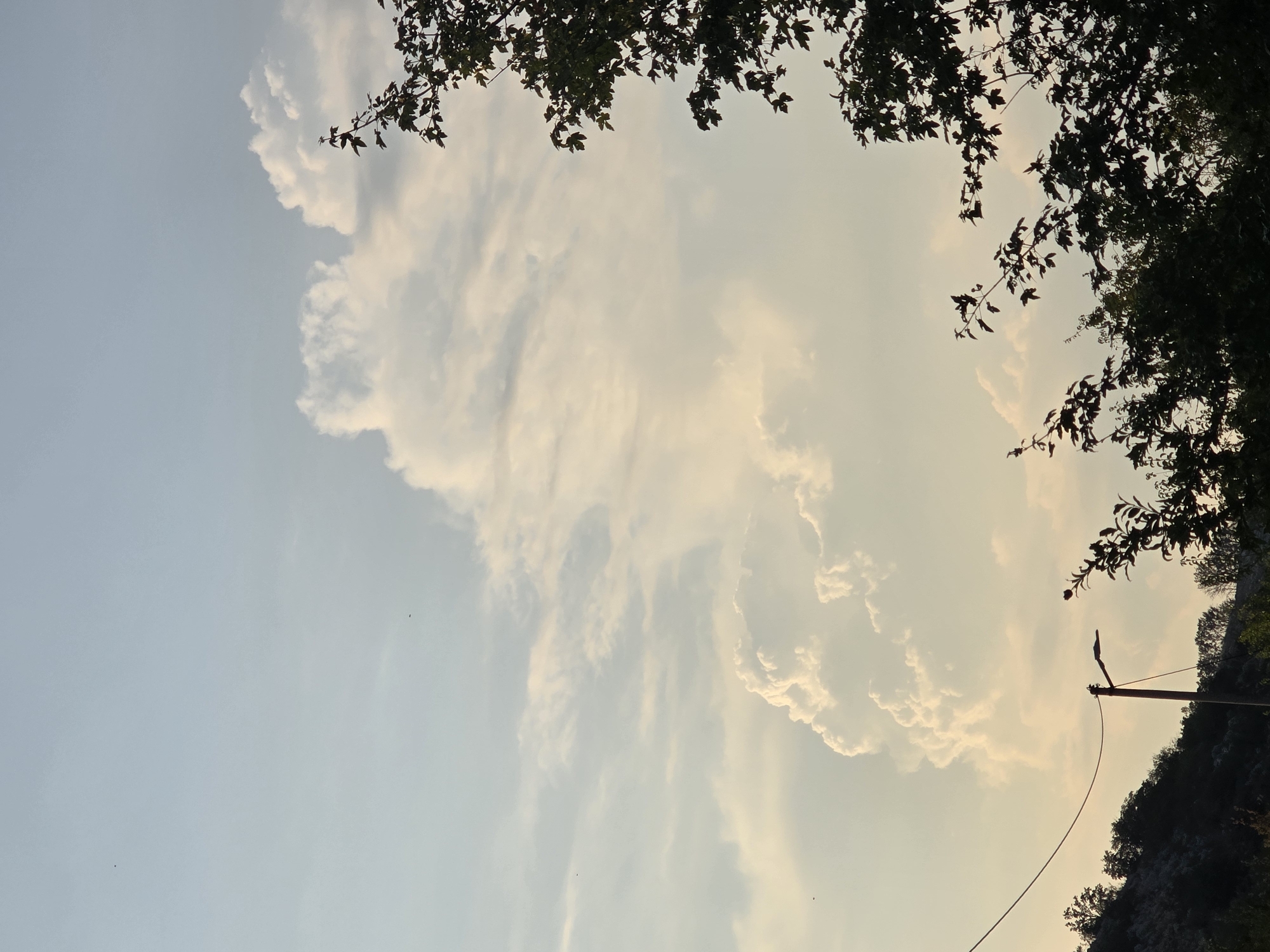 The image depicts a wide shot of the sky above Medun, Montenegro, under a pale, overcast sky. Two small, dark shapes, possibly birds or distant insects, are visible against the sky. In the foreground, the silhouettes of dark green foliage from trees and bushes are prominent on the right side of the frame, partially obscuring the sky. A single, slender lamppost stands vertically in the lower center of the image, its arm angled to the right. A power line stretches diagonally from the upper left towards the lamppost. To the left of the lamppost, the dark silhouette of a hillside covered with sparse vegetation can be observed. The clouds are soft and diffused, with some brighter patches indicating potential sunlight breaking through. The overall scene suggests an outdoor setting, likely a rural or semi-rural area, with hints of infrastructure in the form of the lamppost and power line.