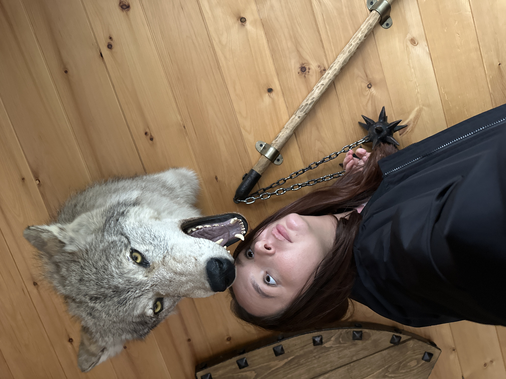 In an indoor scene, a person lies on a wooden floor. The person, with long, dark hair and light skin, is wearing a black jacket. Their head is tilted back, and their eyes are open, looking upward. Next to the person's head is a taxidermied wolf's head, with its mouth open, revealing sharp teeth and a pink tongue. The wolf has yellow eyes and grey fur.
Behind the wolf and person, a wooden floor with visible wood grain and knots stretches across the frame. A decorative medieval weapon, resembling a mace attached to a wooden staff by a chain, lies on the floor. The mace has a spiked head. In the lower right corner of the image, a portion of a wooden object, possibly a chest or shield, with metal studs is visible.
The lighting appears to be natural or indoor lighting, casting soft shadows. No specific time of day or weather conditions can be determined. The overall impression is one of an unusual or staged pose. There is no visible text in the image. The provided location context is Karsha, Russia, but this cannot be visually confirmed from the image itself.