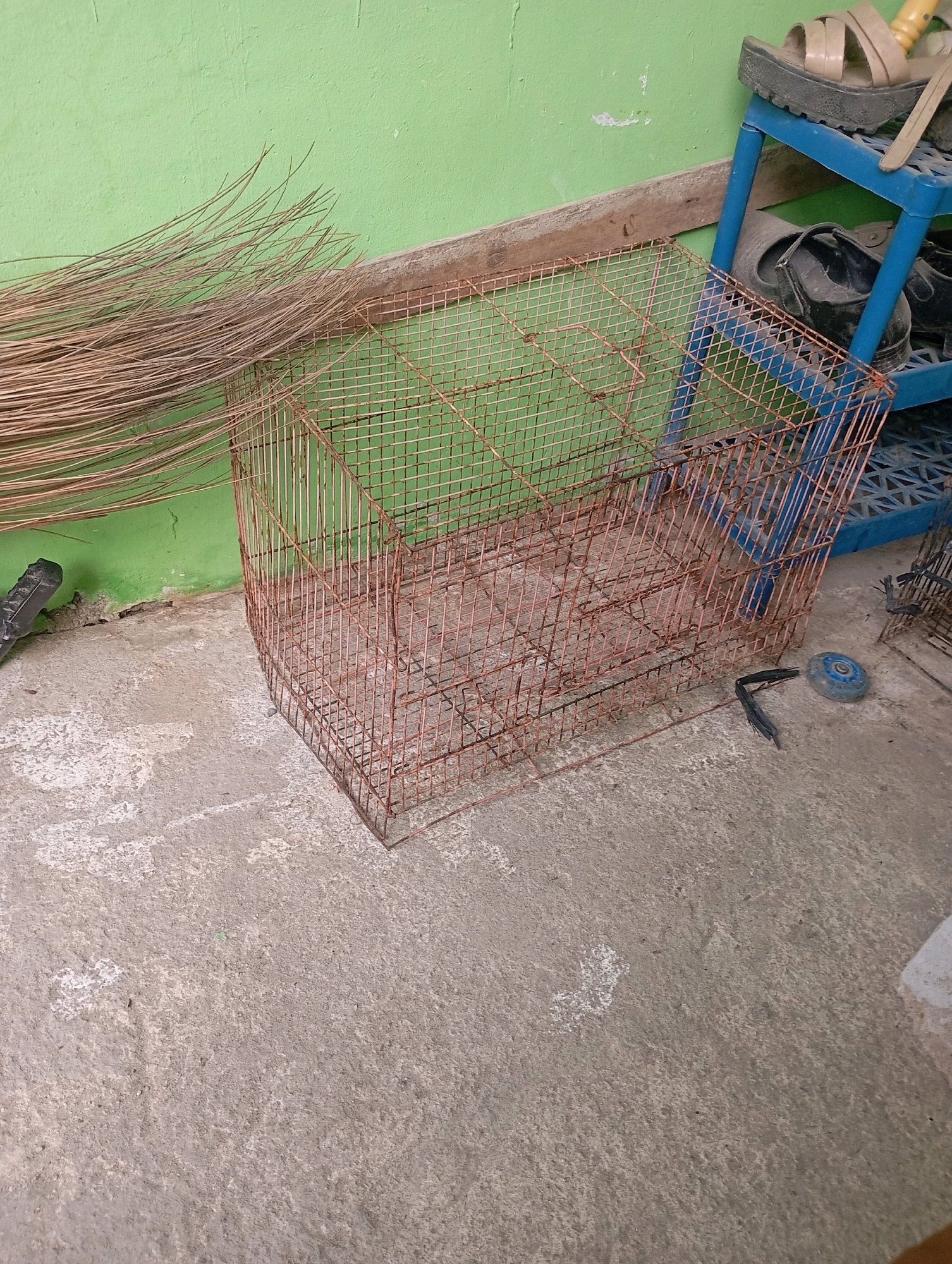 The image depicts an outdoor scene on a concrete floor against a green wall. In the foreground, a wire cage, likely for birds or small animals, sits on the ground. To the left of the cage, a bundle of dried coconut fronds lies against the wall. In the background, a blue plastic shelf unit holds a pair of beige sandals and dark shoes. The scene suggests a storage or utility area, possibly a backyard or an outdoor workshop. There are no people visible in the image, and no actions or interactions are occurring. The environment appears to be somewhat cluttered and utilitarian. This scene is set in Babelan, Indonesia.