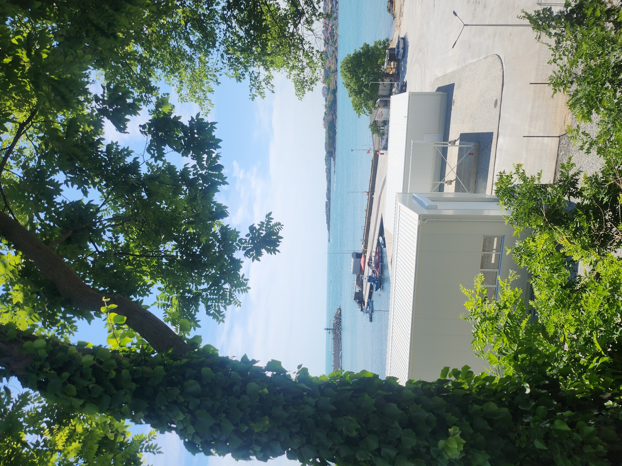 The image depicts a waterfront scene in Tsarevo, Bulgaria. In the foreground, a large tree covered in ivy partially obscures the view of two modern, white industrial buildings with corrugated metal roofs. Beyond the buildings, a paved area with a metal fence is visible. The middle ground features a harbor with several boats docked and a pier extending into the turquoise sea. A lighthouse stands on a breakwater in the distance, with a town or village visible along the coastline. The sky is a clear blue with scattered white clouds. The overall impression is of a sunny day in a coastal town.