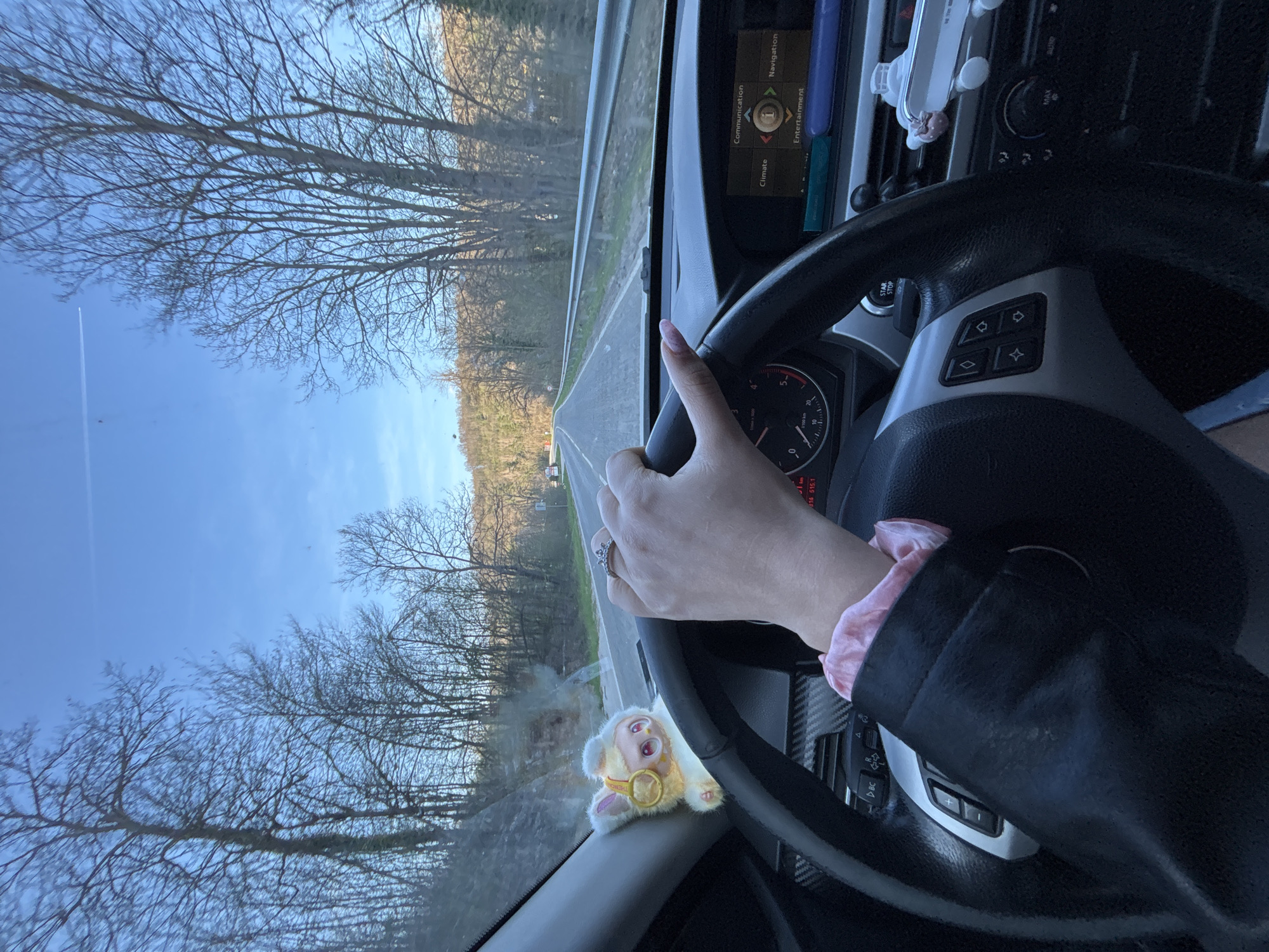 A driver's perspective from inside a car shows a woman's hand on the steering wheel. Outside the car's windshield is a road stretching into the distance and lined on both sides by trees lacking foliage. The sky above is blue. The car's dashboard is visible, and a small plush toy is attached to the windshield. Based on the location data on the speedometer, this image was likely taken in Stoichоvtsi, Bulgaria.