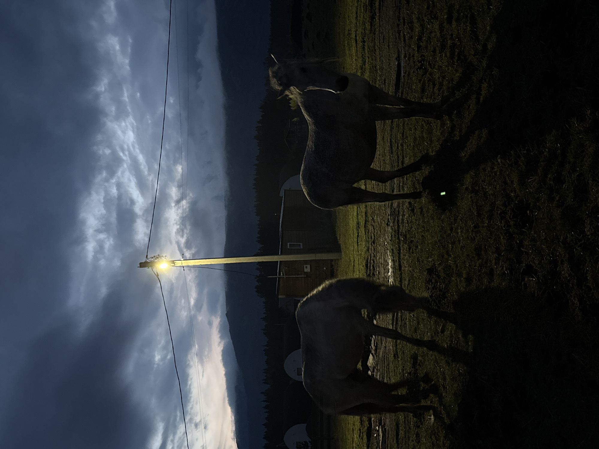The image, taken at night in Tyulyuk, Russia, features two light-colored horses in a field. A utility pole with a lit light is visible in the center of the frame, illuminating the immediate area. In the background, a dark, mountainous landscape is partially obscured by a cloudy, dramatic sky. A small building and two satellite dishes are also present in the mid-ground. The overall scene is rural and somewhat dim, with a focus on the horses and the contrasting light and shadow.