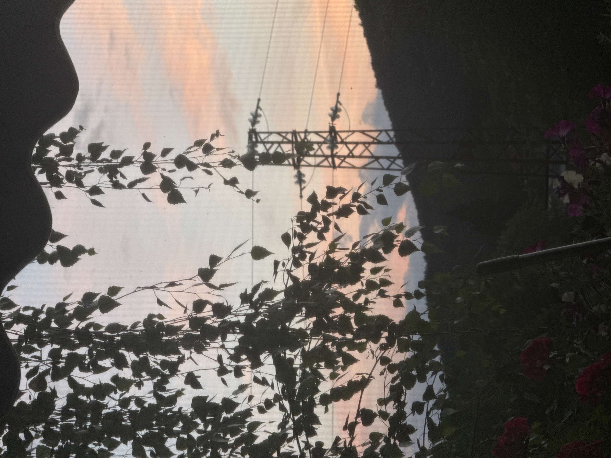 The image depicts a view from what appears to be a covered outdoor area, likely a balcony or porch, looking out at a landscape during what seems to be sunset or dawn. In the foreground, silhouetted against the sky, are the delicate leaves and branches of a tree, possibly a birch, hanging down. The sky shows a gradient of soft pastel colors, with hues of pink, orange, and blue, suggesting the presence of clouds.
In the middle ground, a tall, lattice-like electricity pylon stands prominently, with power lines stretching across the frame. Behind the pylon and extending into the background is a dark, silhouetted hillside or mountain range.
In the lower portion of the image, also in silhouette, there are visible elements of a garden, including dark green foliage and what appear to be some dark red or pink flowers. The overall impression is one of a serene, natural setting juxtaposed with industrial infrastructure, viewed during a transitional time of day. The location is identified as Sulitsa, Bulgaria. There are no people or animals visible in the image, and no explicit actions or interactions are depicted.
