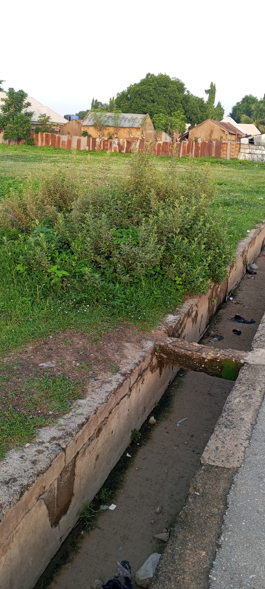 The image captures a view of the city of Jalingo, Nigeria, near a residential area. In the foreground, a concrete drainage channel runs along the edge of a road. The channel is partially filled with dry earth and debris, including plastic bags and bottles, with some sparse green vegetation growing within it. Adjacent to the channel, a patch of grass and dense green bushes are visible. Further back, a rusty corrugated metal fence separates the grassy area from a collection of buildings. These structures appear to be modest homes with corrugated metal roofs and walls made of earth or concrete. The background features a large, leafy green tree and other vegetation, suggesting a semi-urban or rural environment within Jalingo. The sky is overcast, indicating possibly early morning or late afternoon lighting.