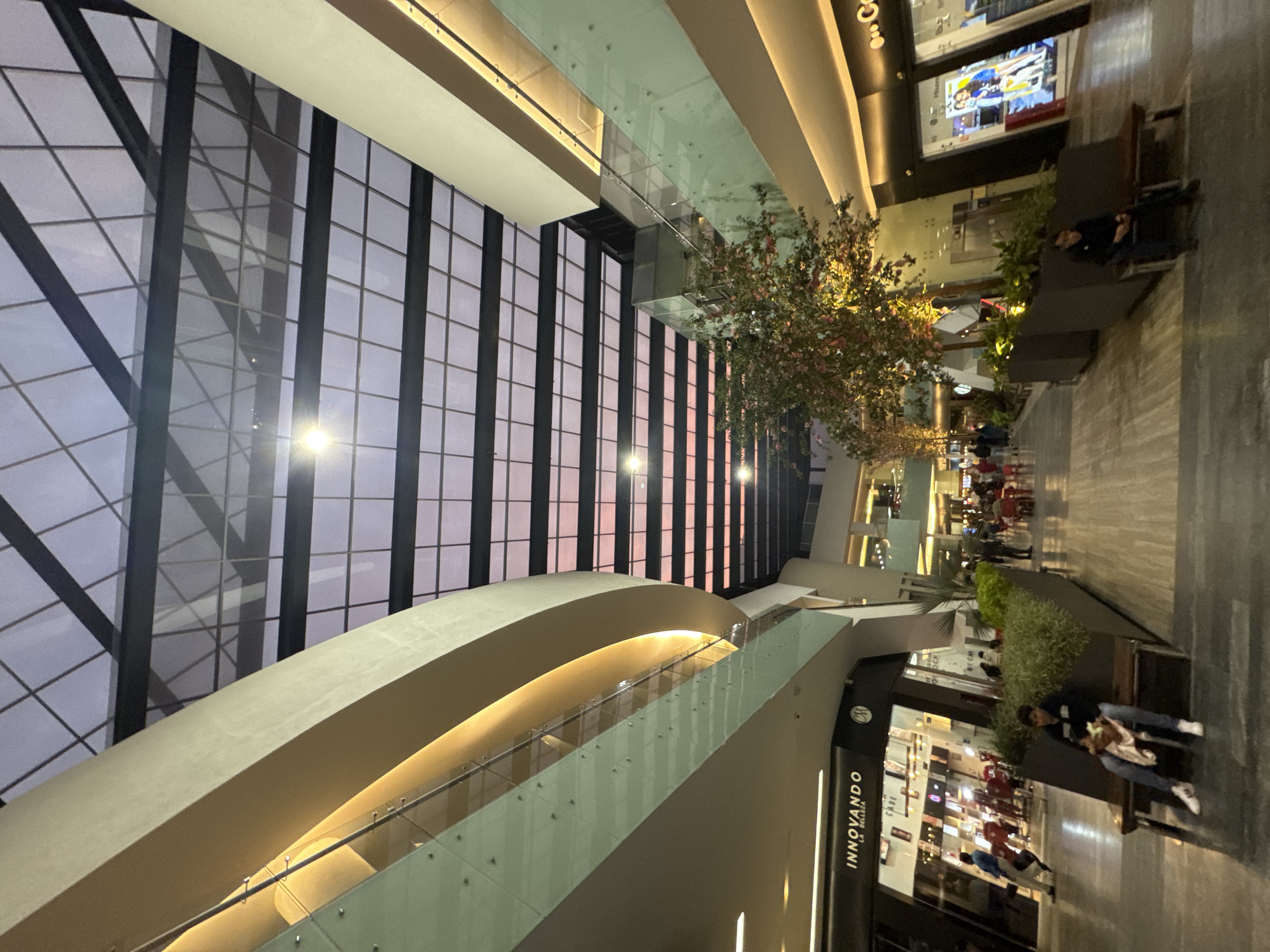 The image depicts the interior of a shopping mall in Puebla, Mexico. The architectural style features a high, latticed glass ceiling allowing natural light, and a curved, illuminated mezzanine level with glass railings. The mall's central area includes trees, planters, and benches where people are sitting and resting. Storefronts are visible along the mall's walkways. People are present in the background.