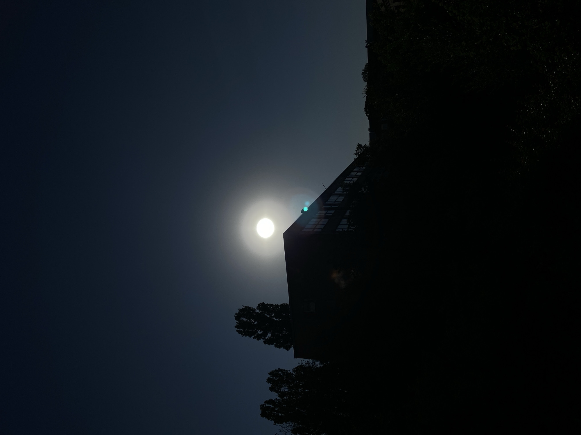 A rotated, low-angle, wide shot depicts a dark silhouette of a tall, modern building partially obscuring a bright sun against a deep blue sky. The building features multiple window panes visible along its upper section, with vegetation partially covering its right side. Trees appear silhouetted below the building. The lens flares from the sunlight add a strong visual element to the scene. The location is in the city of Unknown, Unknown.