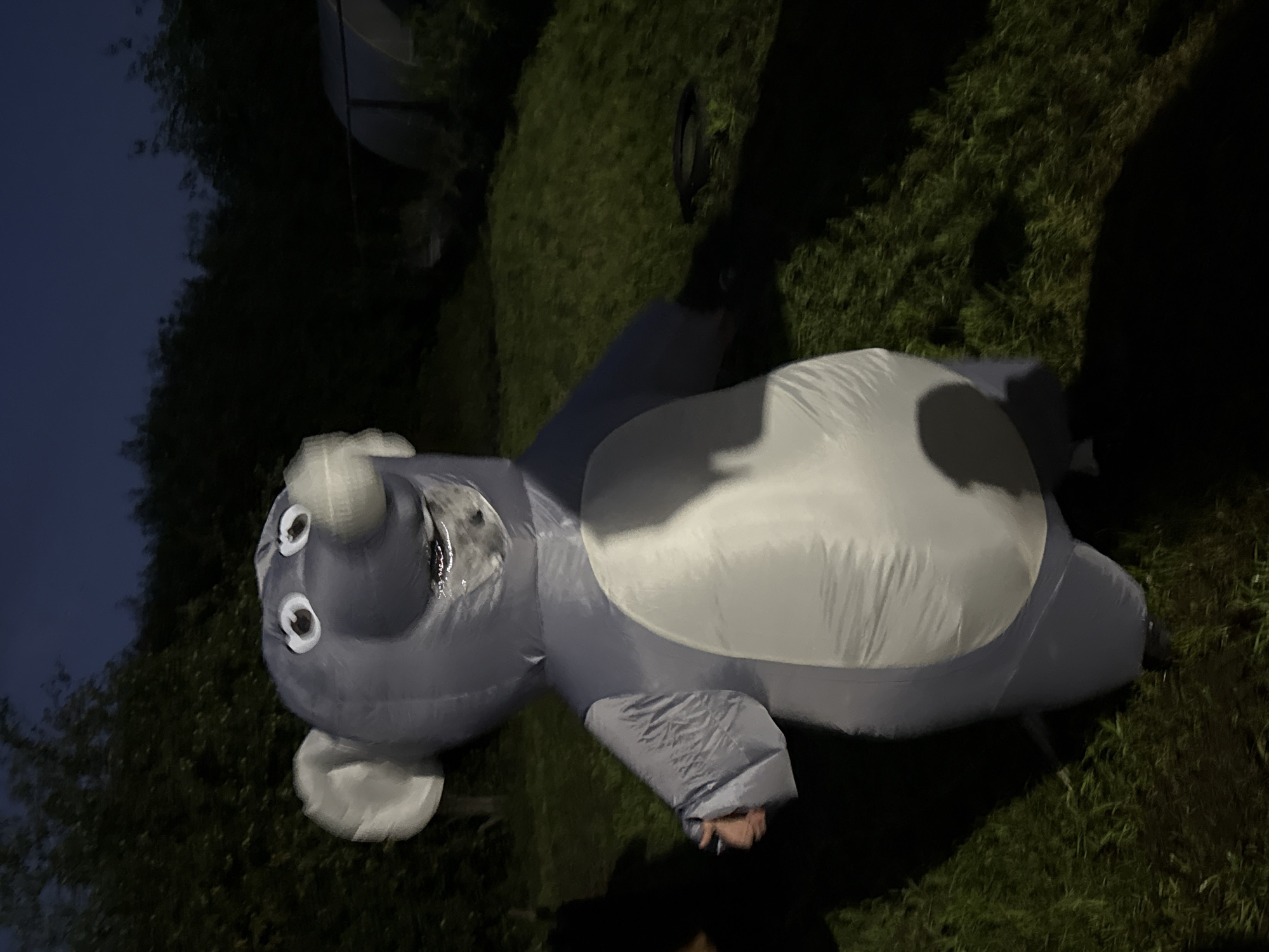 An inflatable costume of a grey cartoon elephant stands on a grassy lawn in the city of Khokhryaki, Russia. The elephant costume has large, floppy ears, round white eyes with black pupils, and a large grey snout. Its belly is inflated to a lighter shade of grey. The elephant appears to be wearing a white shirt underneath the costume. It stands with its arms outstretched, palms facing upward, as if gesturing or waving. Behind the elephant, dark green trees and foliage form a dense background. The sky above is a deep twilight blue. To the right, partially visible in the darkness, is a curved, greenhouse-like structure. The ground is covered in green grass, with some scattered shadows cast by the elephant and unseen objects.