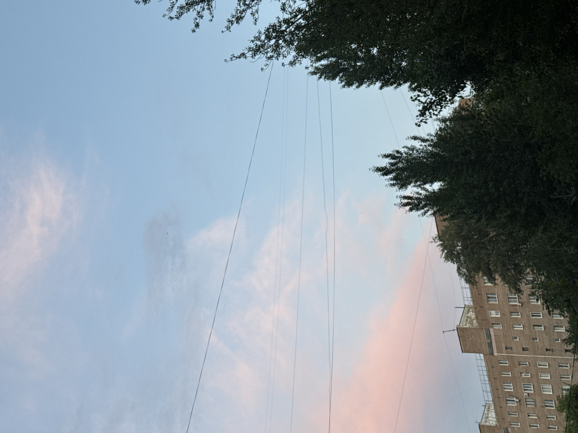 A low-angle, full-shot photograph captures a segment of a brick apartment building in Orenburg, Russia, under a pastel sky. The building, with its numerous windows and visible air conditioning units, occupies the lower left portion of the frame. Dark green trees, dense and lush, partially obscure the building and extend upwards on the right. Several taut, dark electrical wires are strung horizontally across the sky, dividing the frame into distinct sections. The sky itself is a soft gradient of pale blue at the top, transitioning to wisps of pink and white clouds towards the horizon, suggesting either sunrise or sunset. No people are visible in the scene.